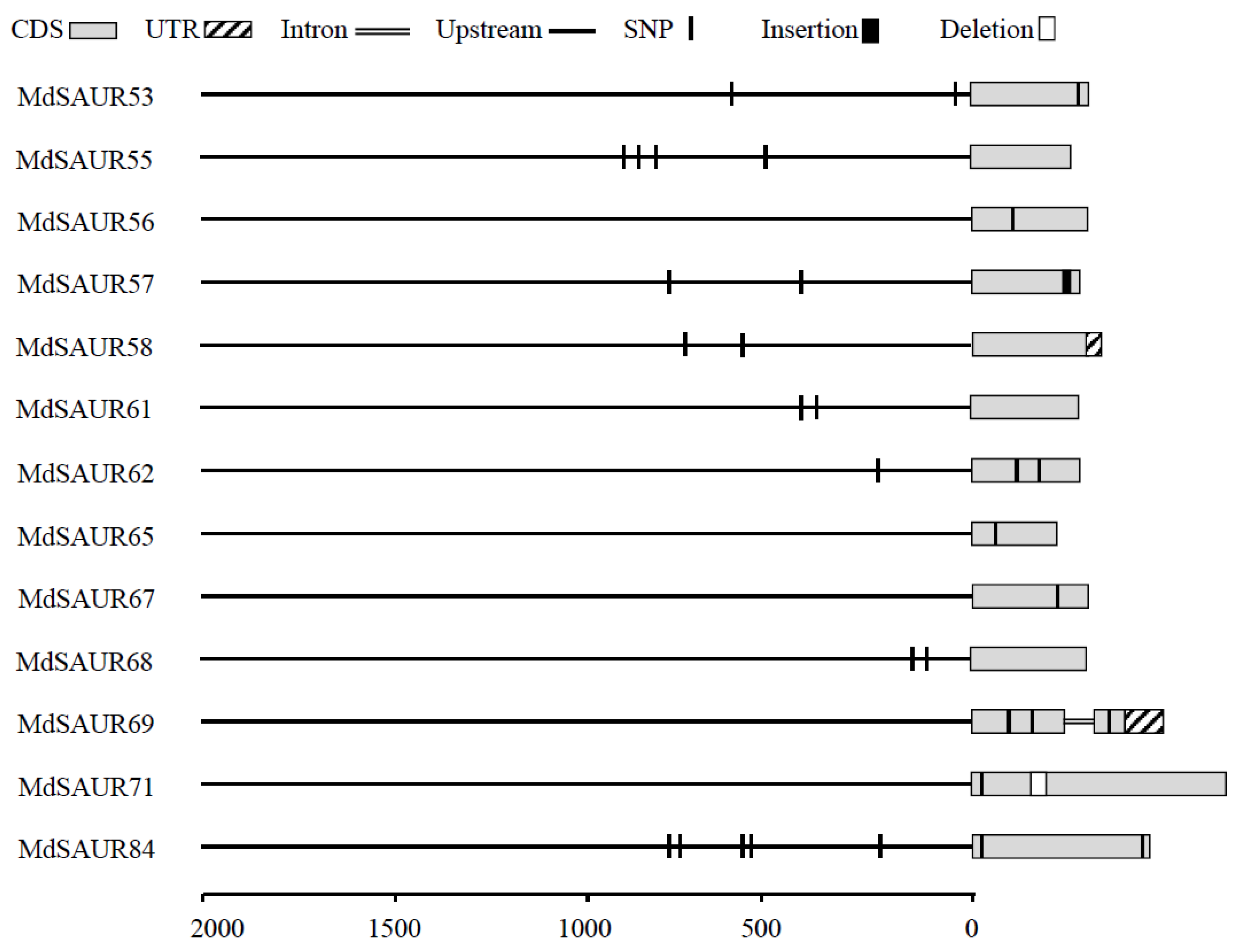 Genes 13 02121 g005 Genes 13 02121 g005