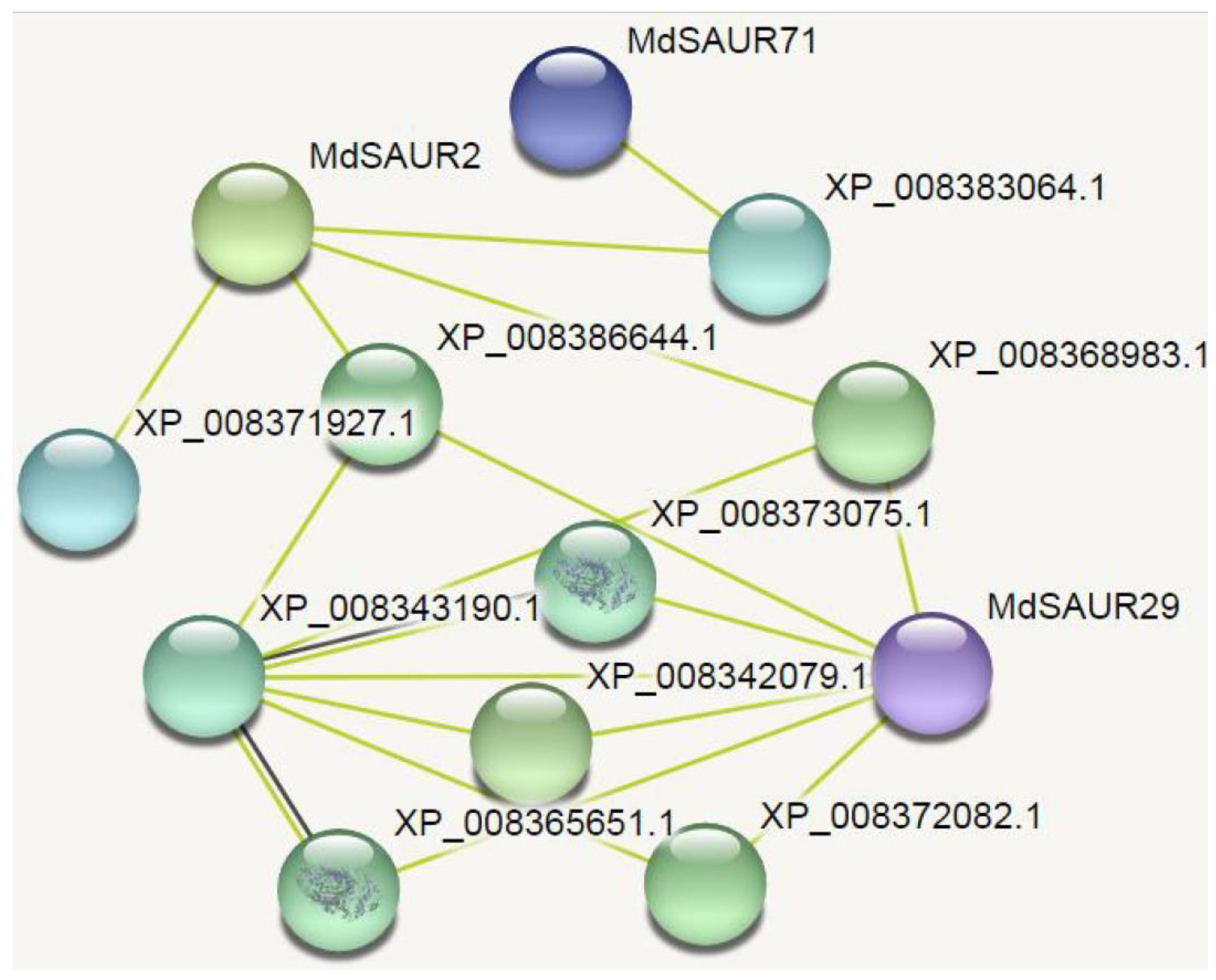 Genes 13 02121 g008 Genes 13 02121 g008