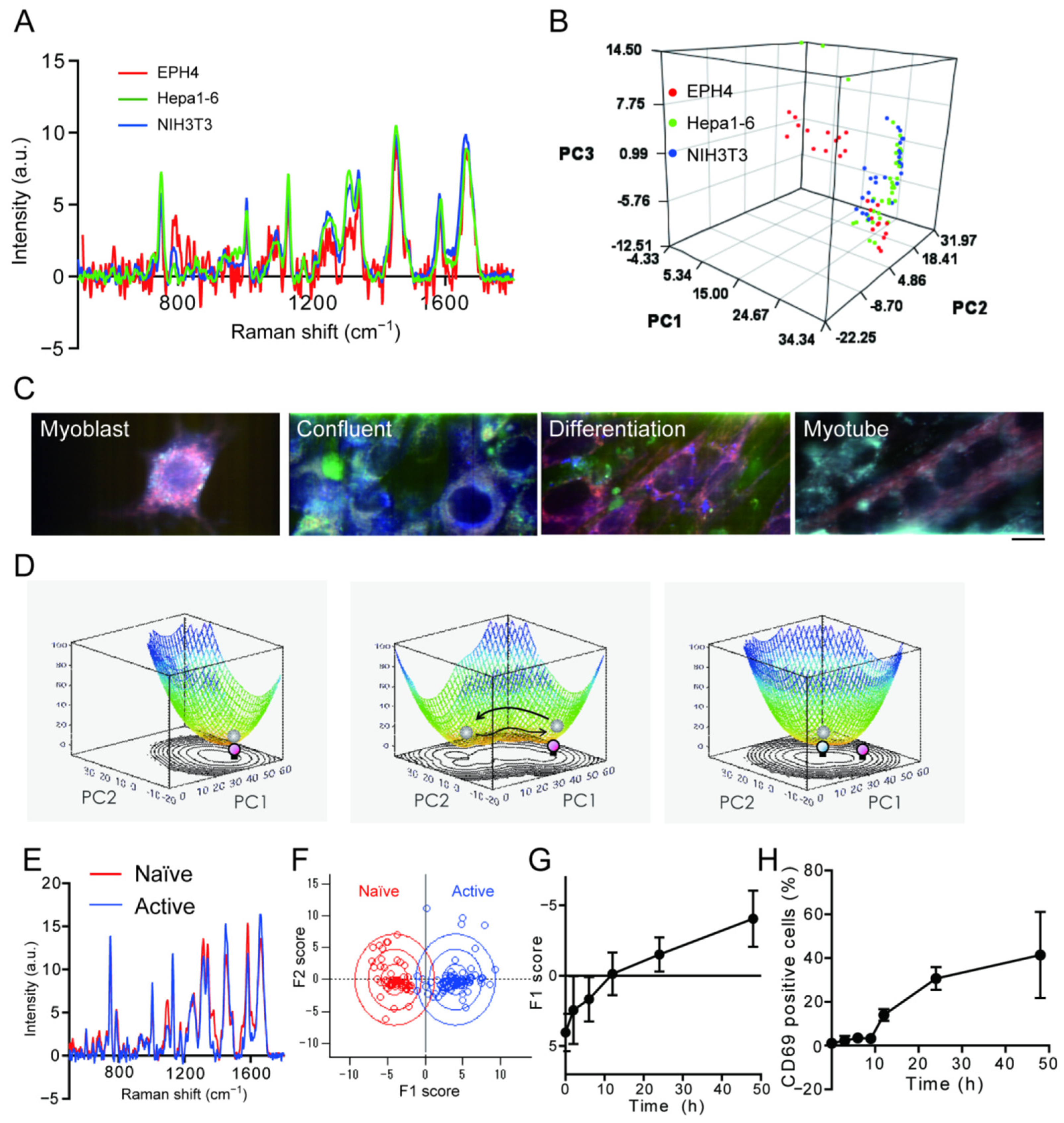 Genes 13 02127 g002 Genes 13 02127 g002