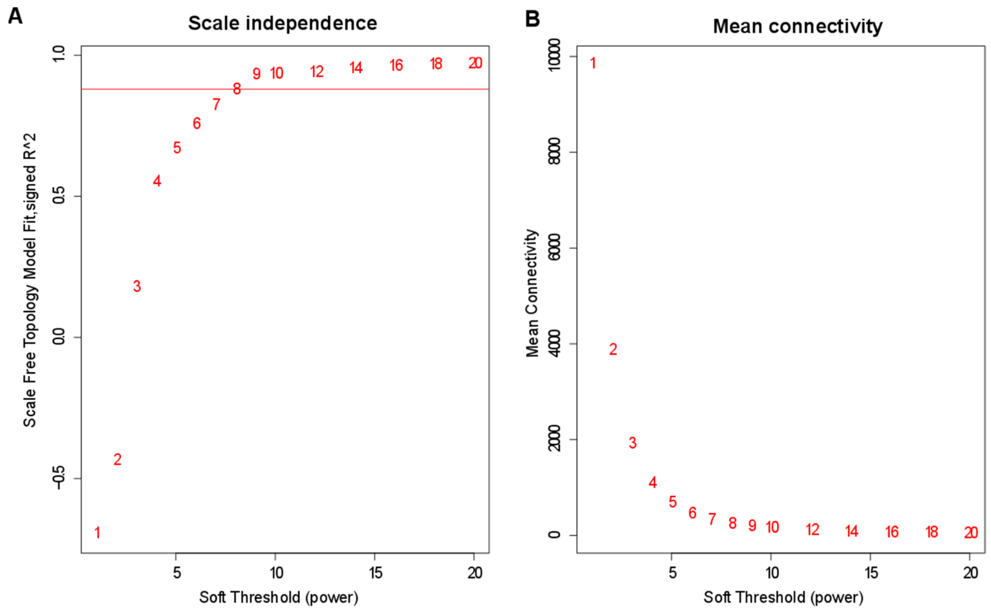 Genes 13 02130 g003 Genes 13 02130 g003