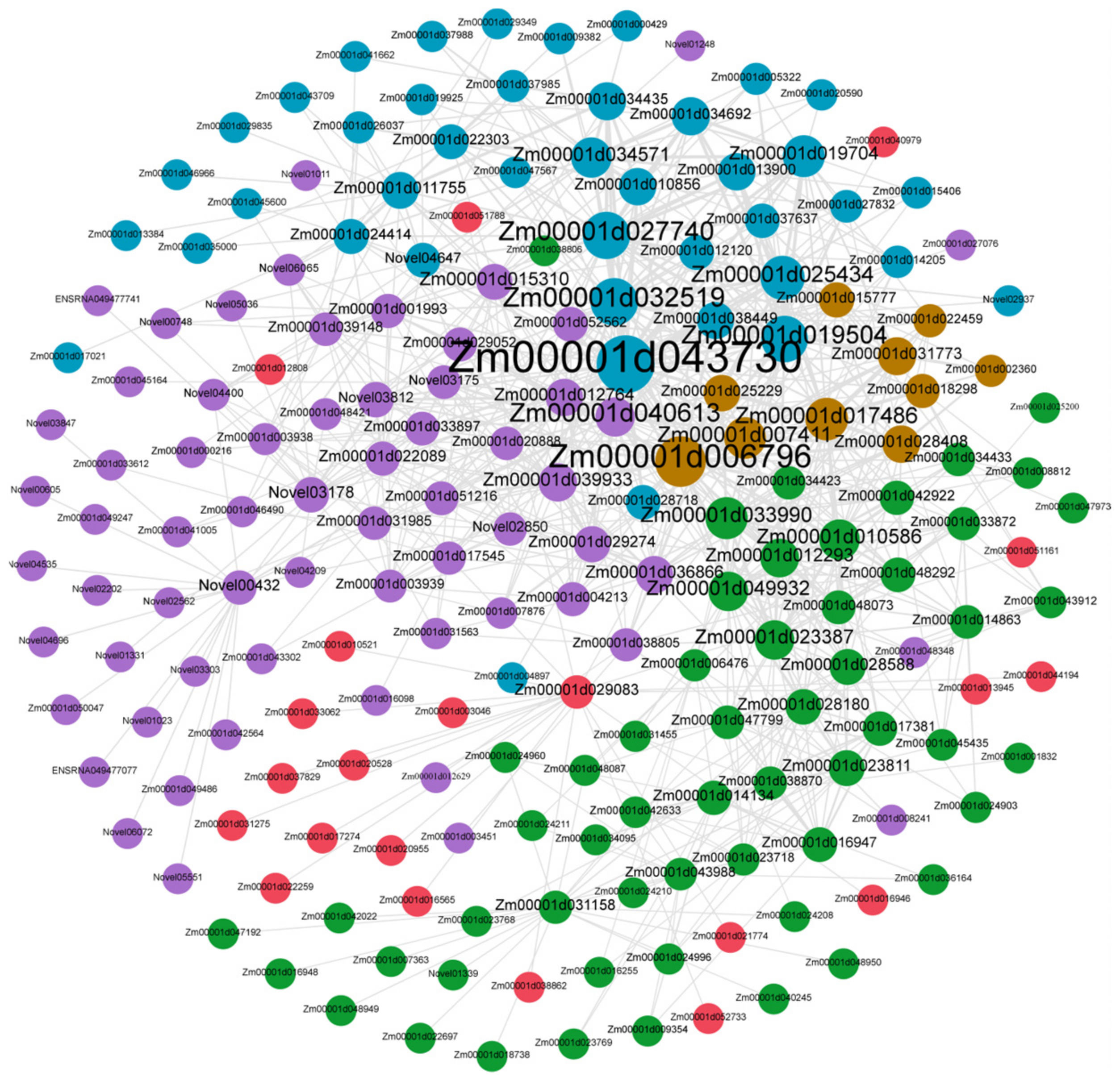 Genes 13 02130 g008 Genes 13 02130 g008