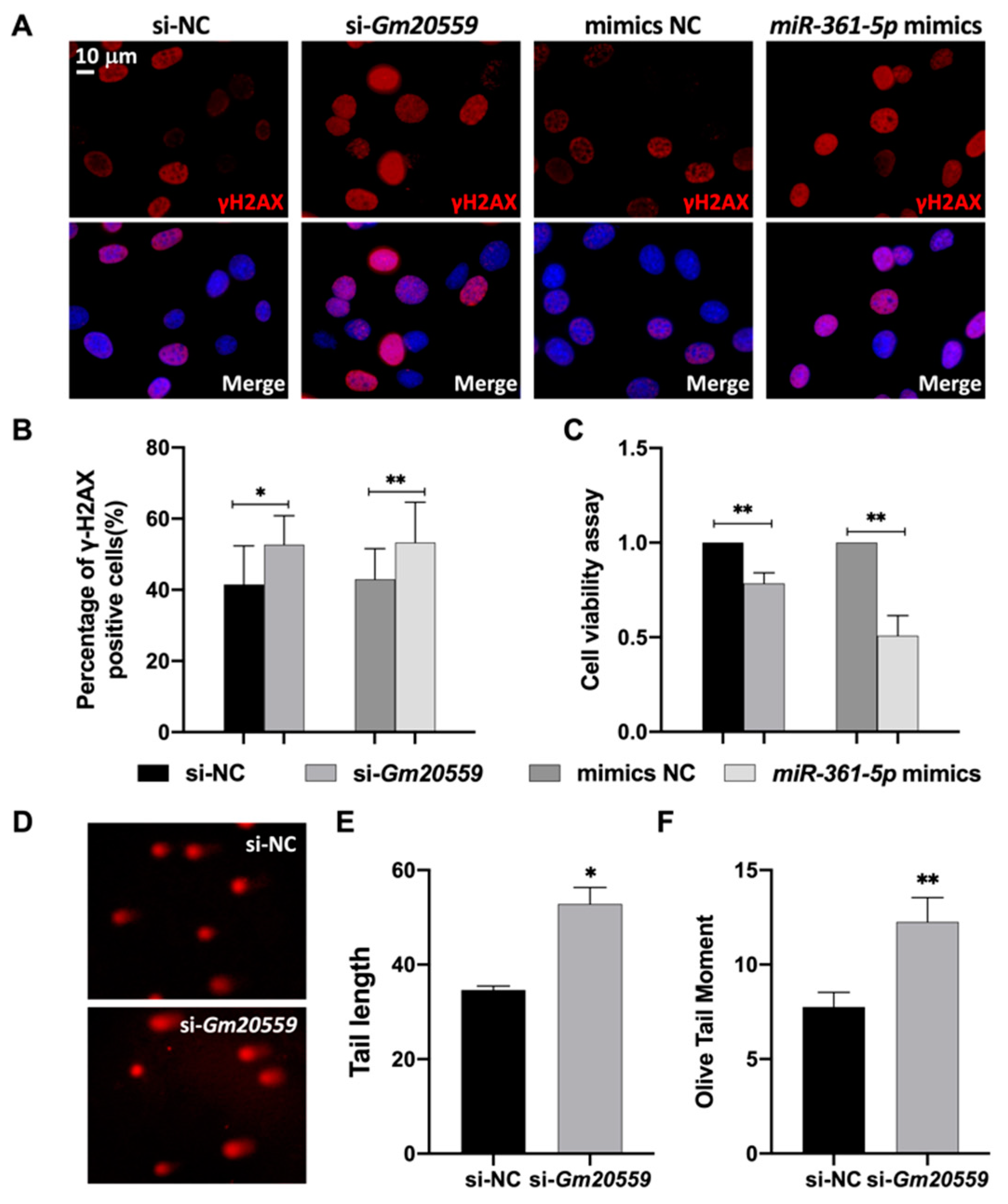 Genes 13 02140 g005 Genes 13 02140 g005
