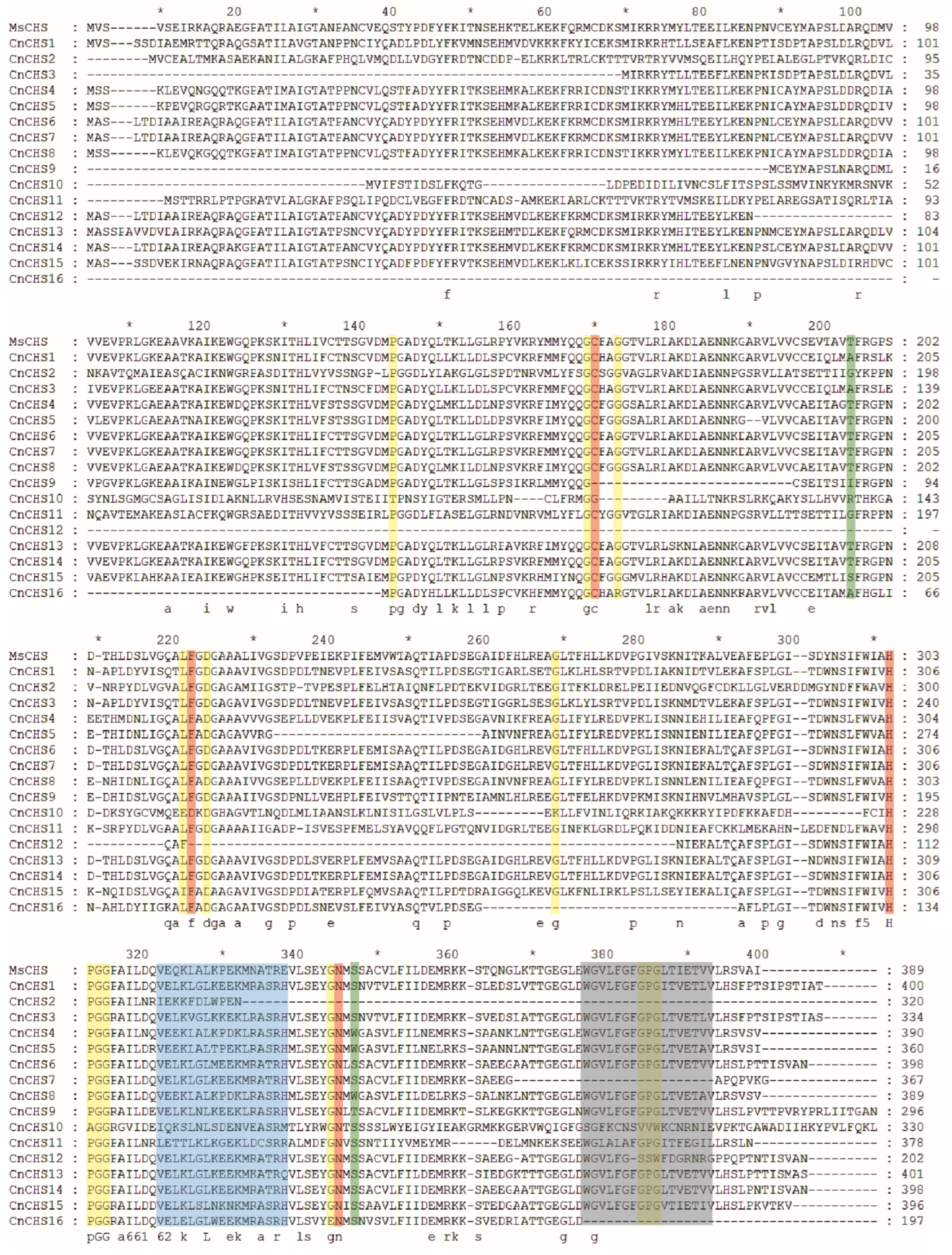 Genes 13 02145 g001 Genes 13 02145 g001