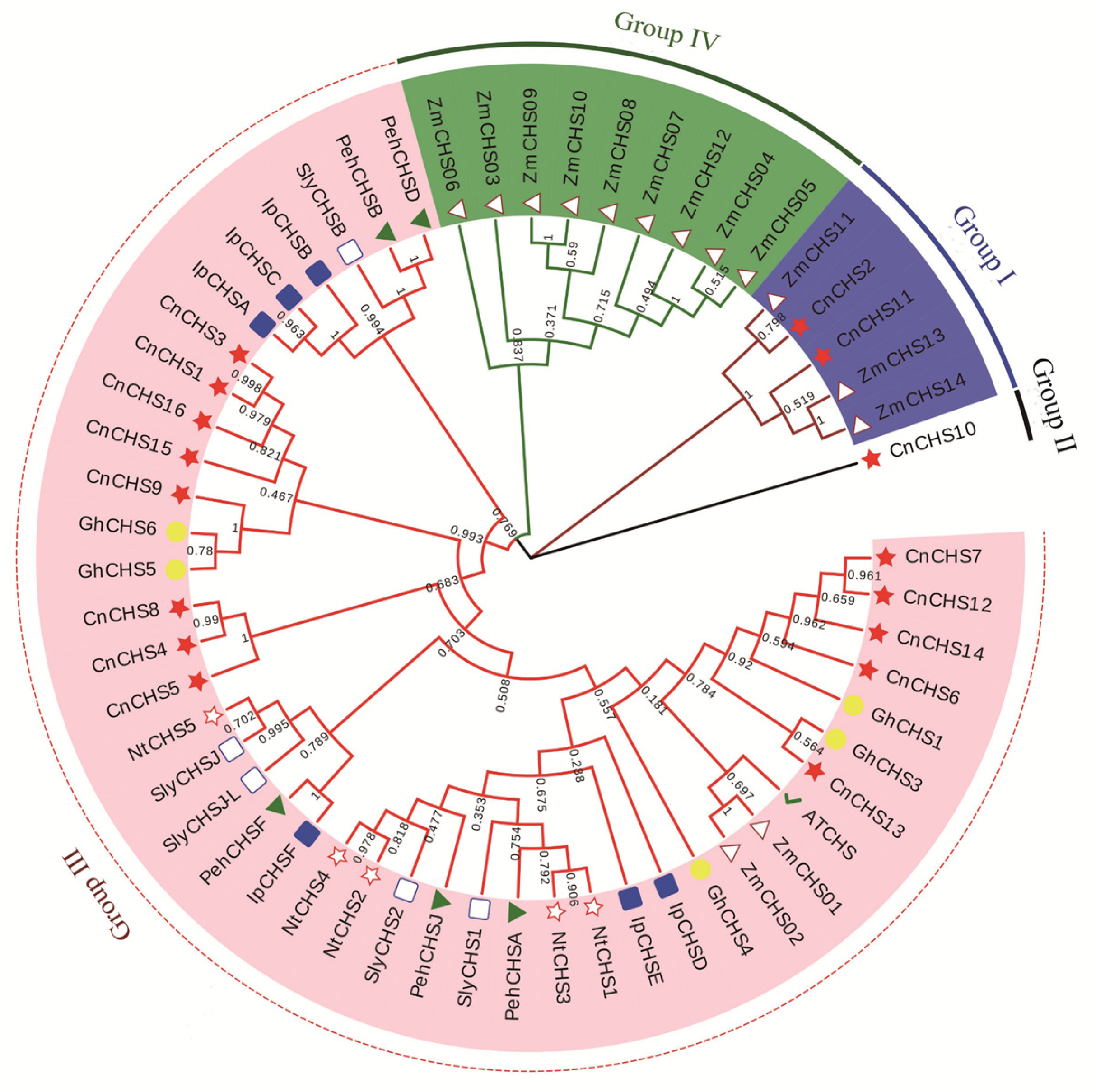 Genes 13 02145 g002 Genes 13 02145 g002