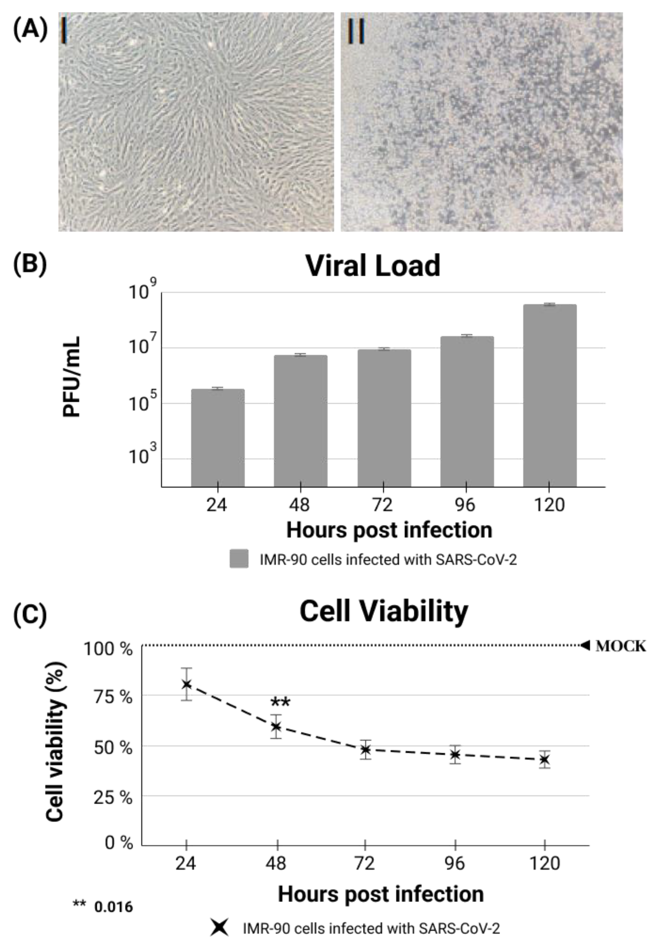 Genes 13 02147 g0a2 Genes 13 02147 g0a2