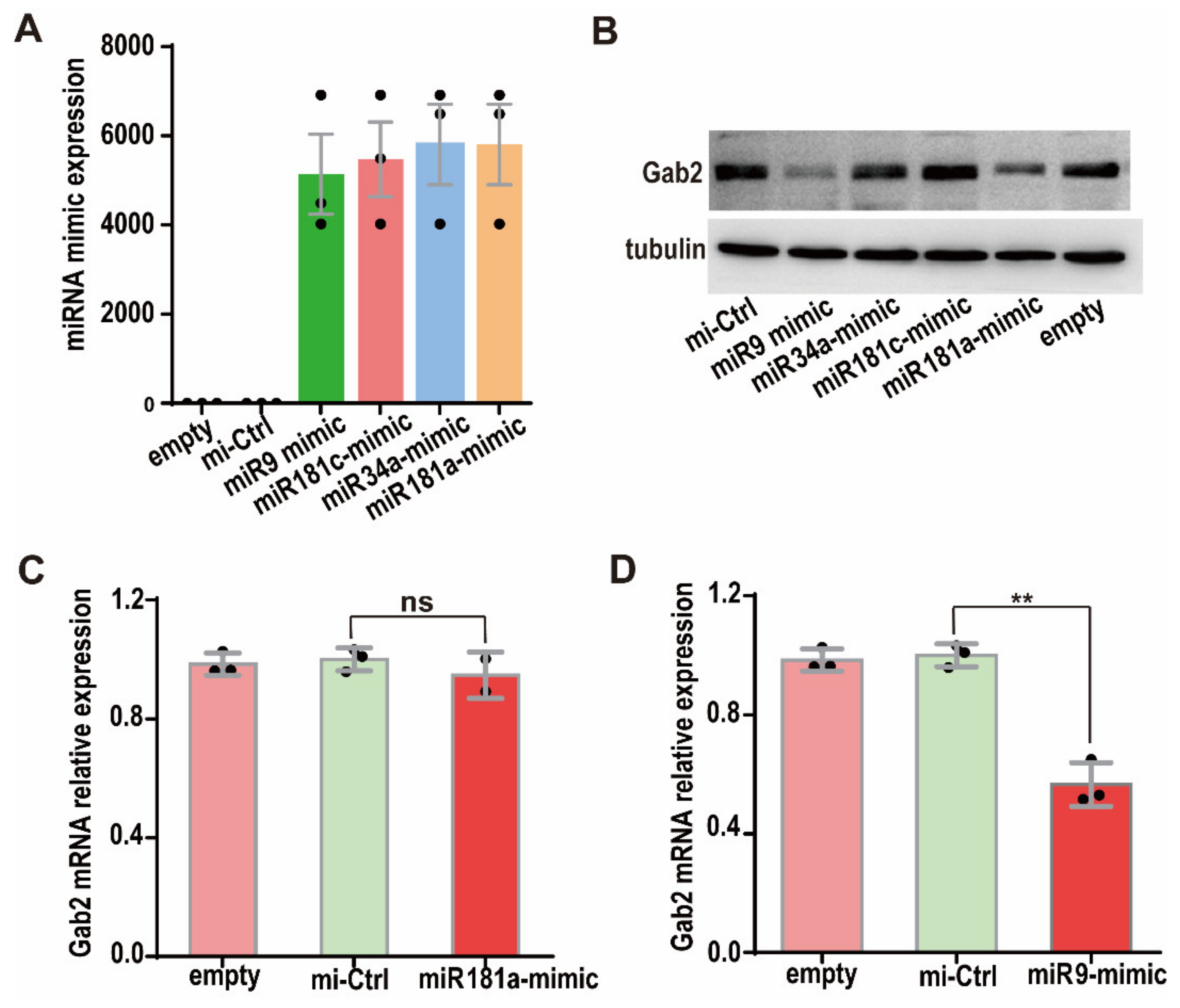 Genes 13 02152 g002 Genes 13 02152 g002