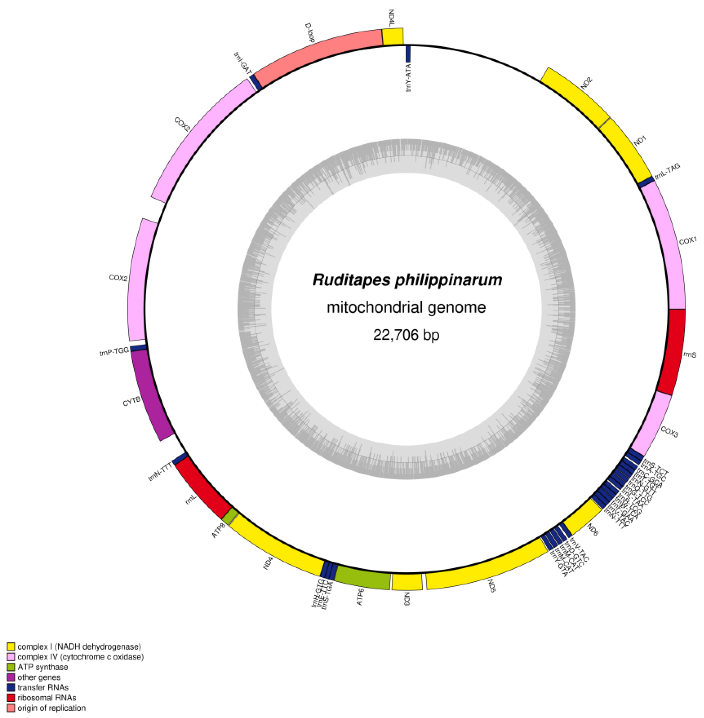 Genes 13 02157 g003 Genes 13 02157 g003