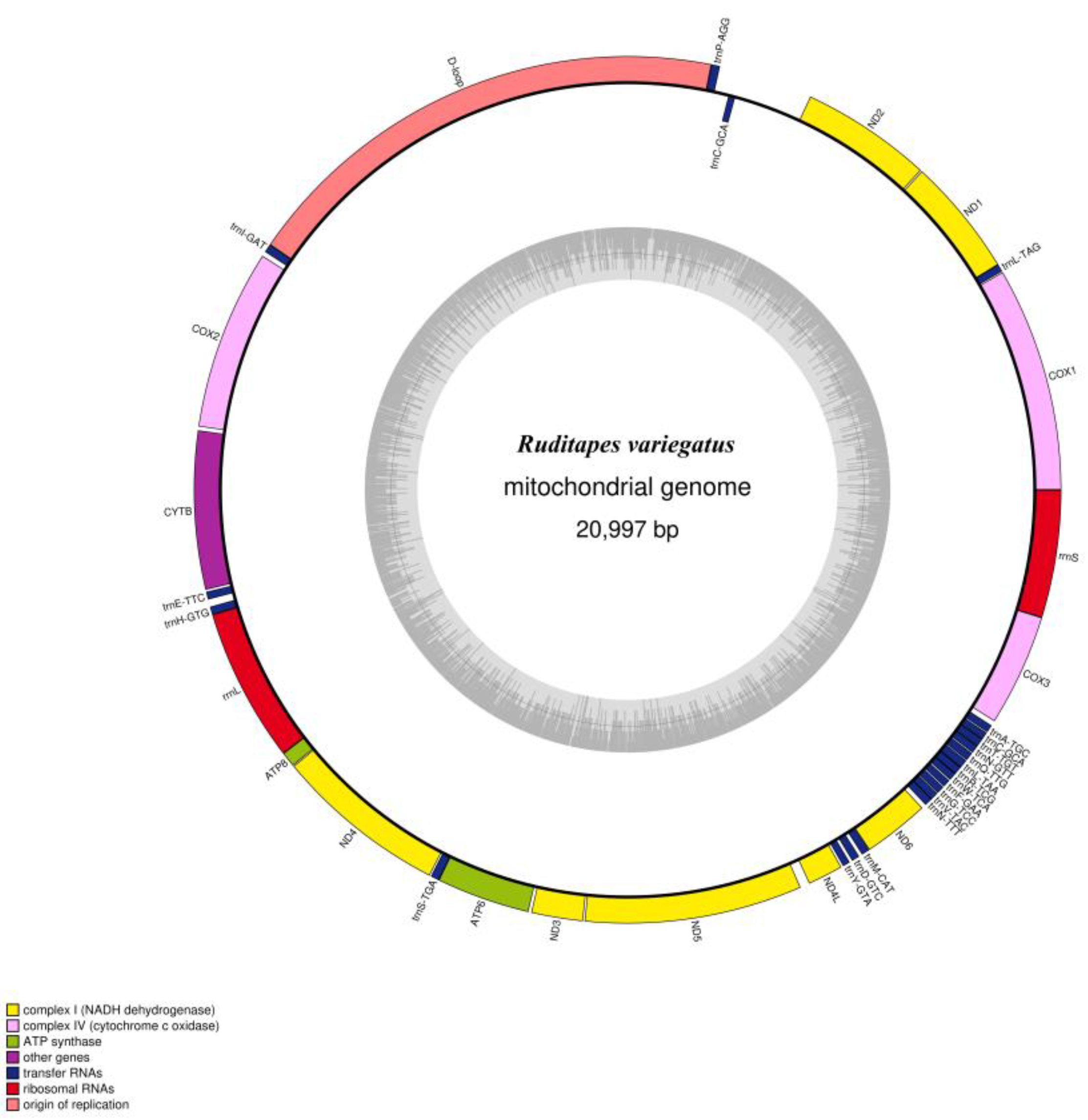Genes 13 02157 g004 Genes 13 02157 g004