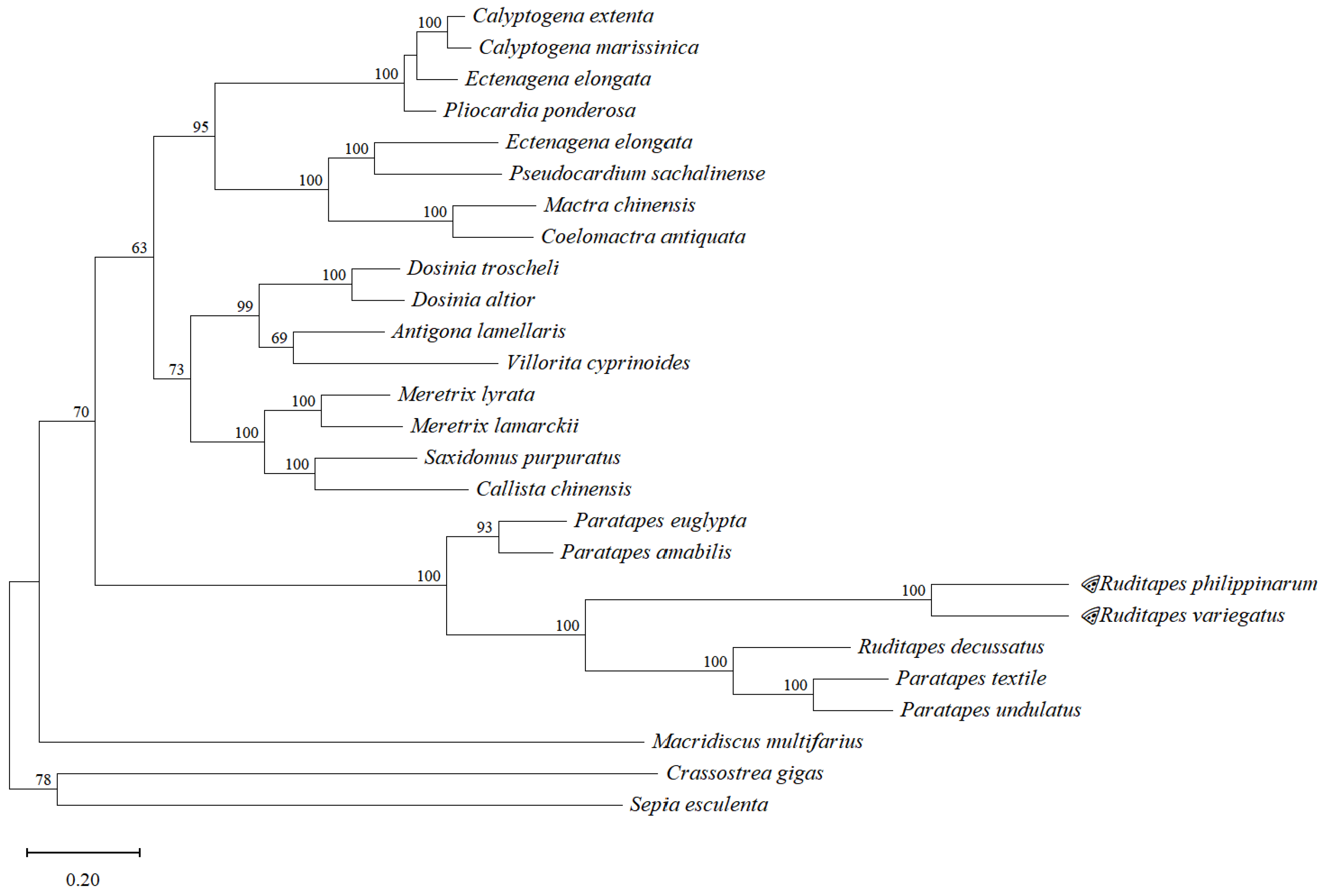 Genes 13 02157 g005 Genes 13 02157 g005