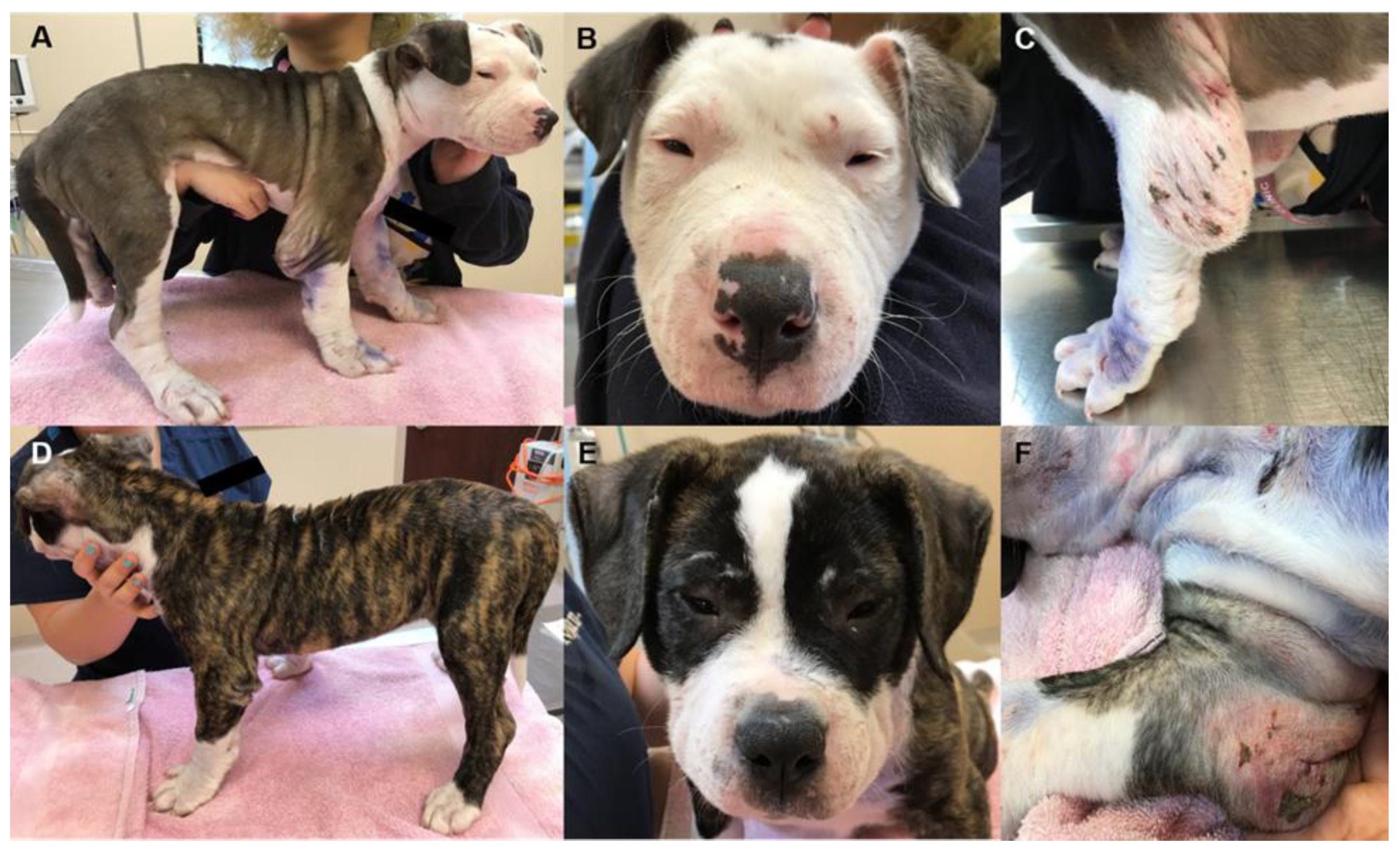 Genes 13 02158 g001 Genes 13 02158 g001