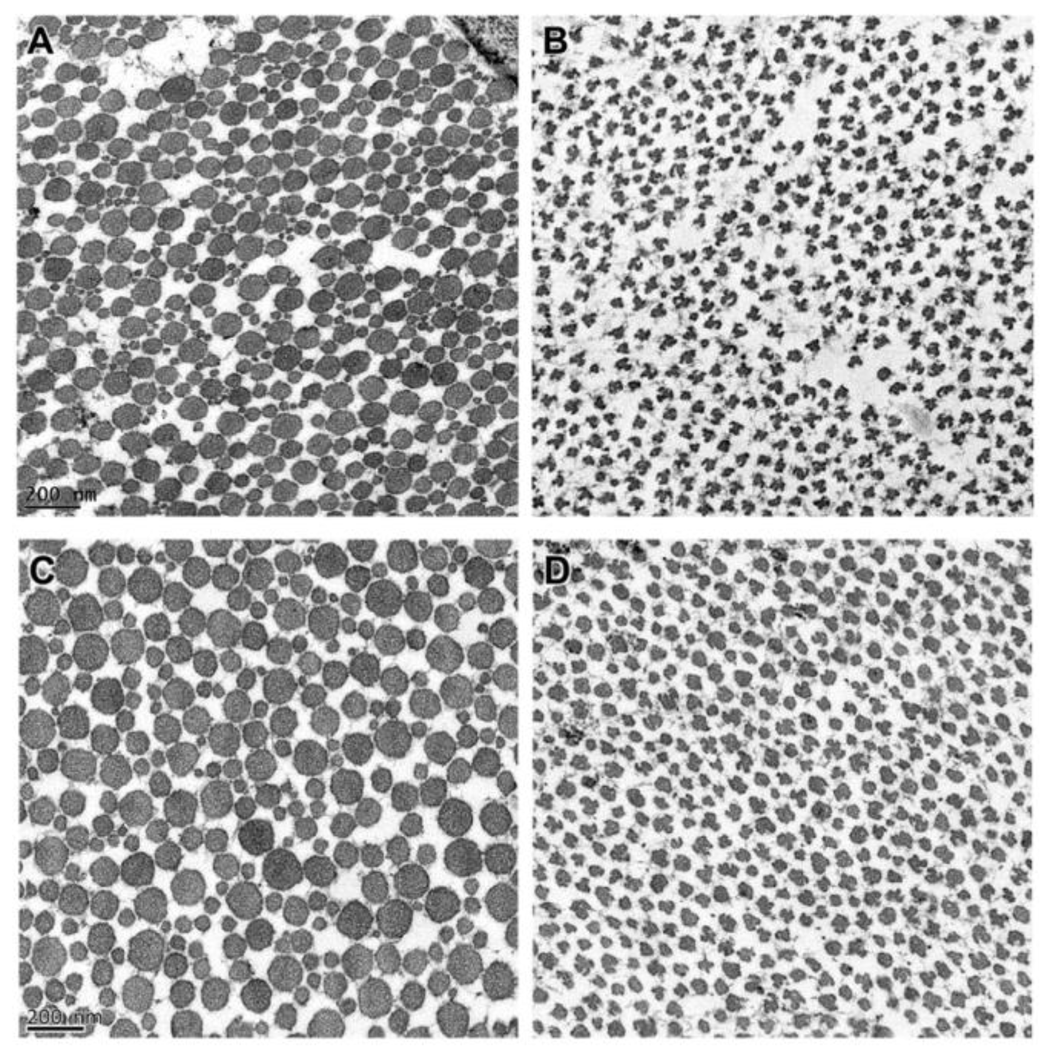 Genes 13 02158 g004 Genes 13 02158 g004