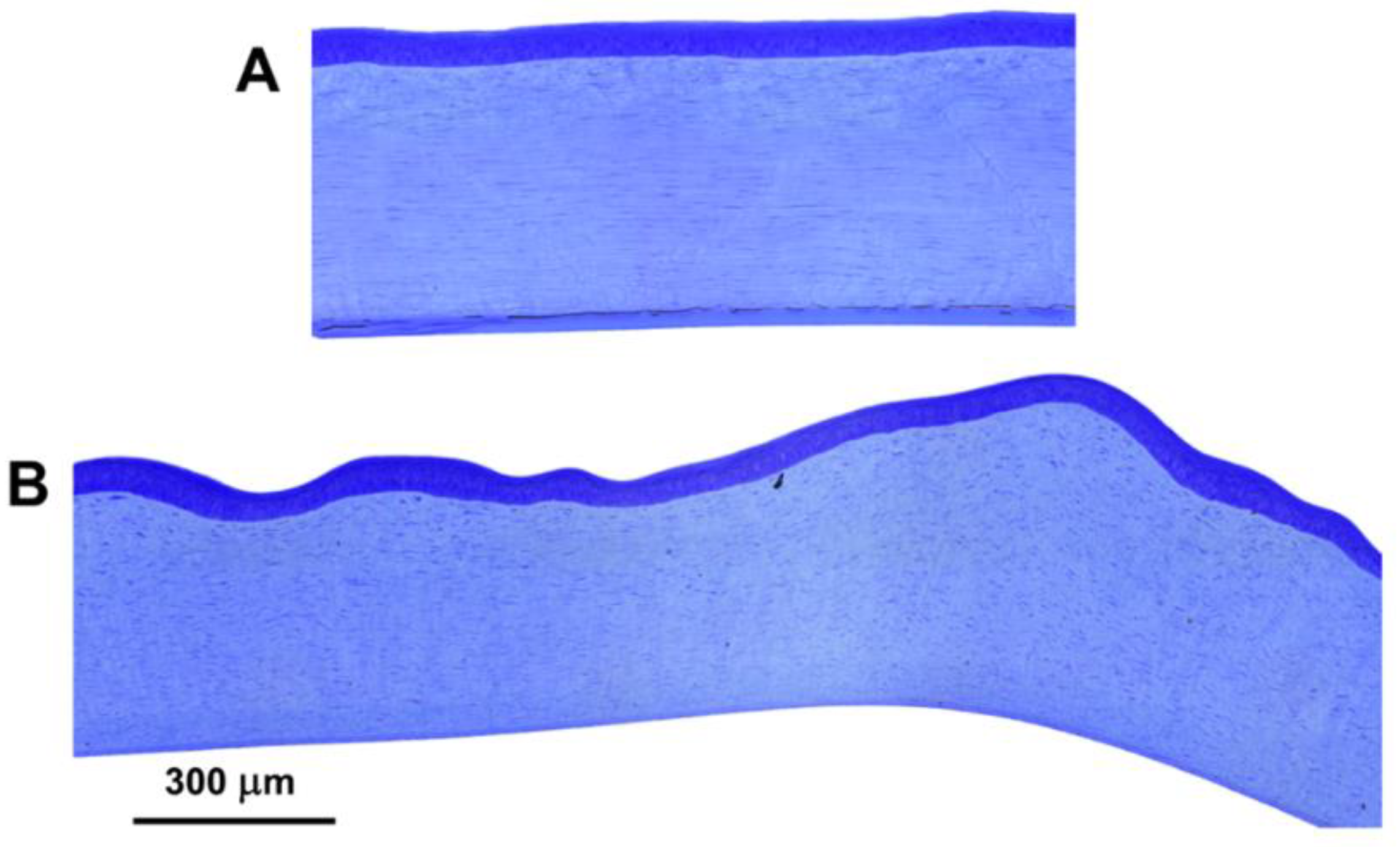 Genes 13 02158 g005 Genes 13 02158 g005