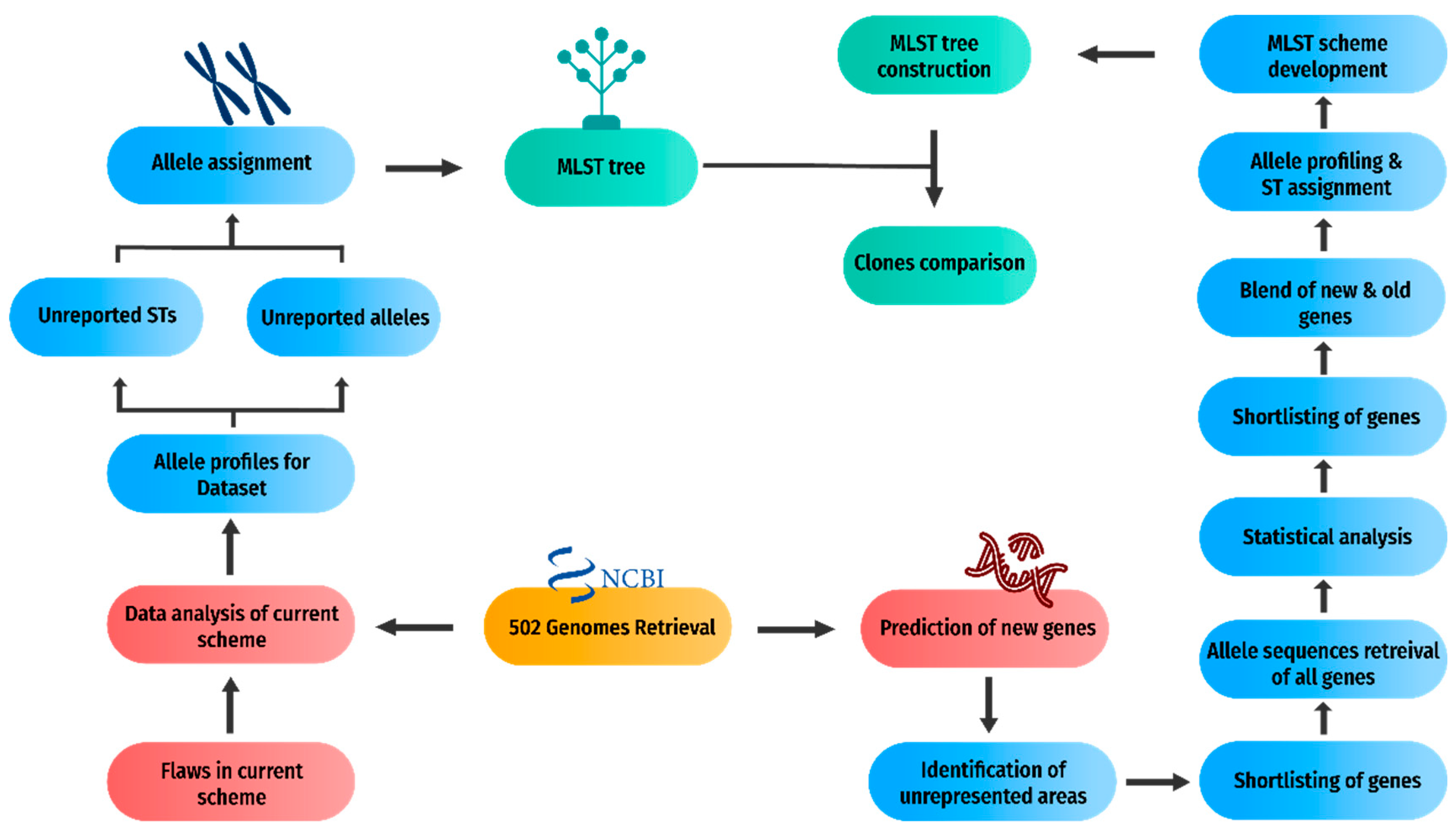 Genes 13 02160 g003 Genes 13 02160 g003