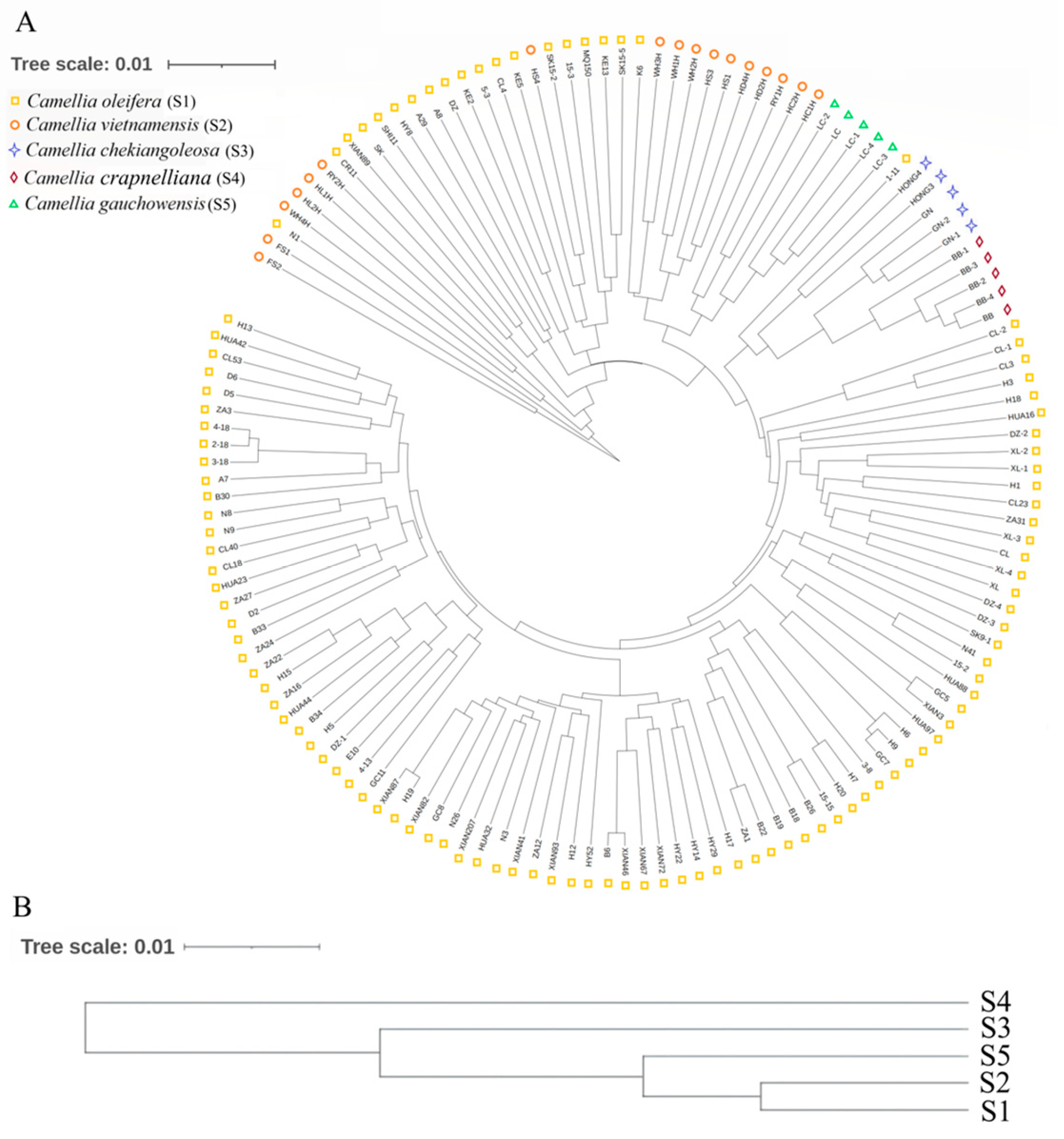 Genes 13 02162 g003 Genes 13 02162 g003