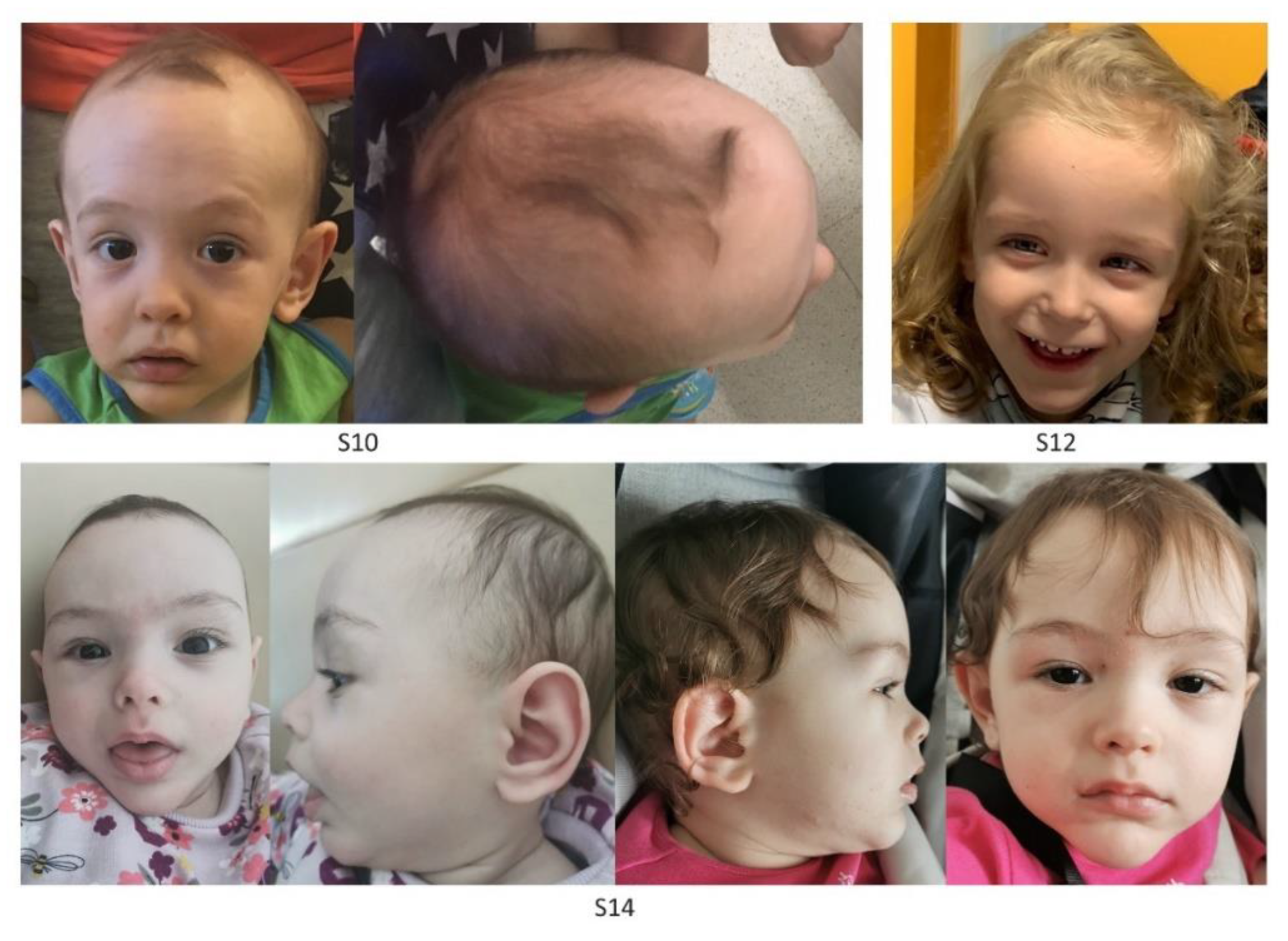 Genes 13 02163 g001 Genes 13 02163 g001