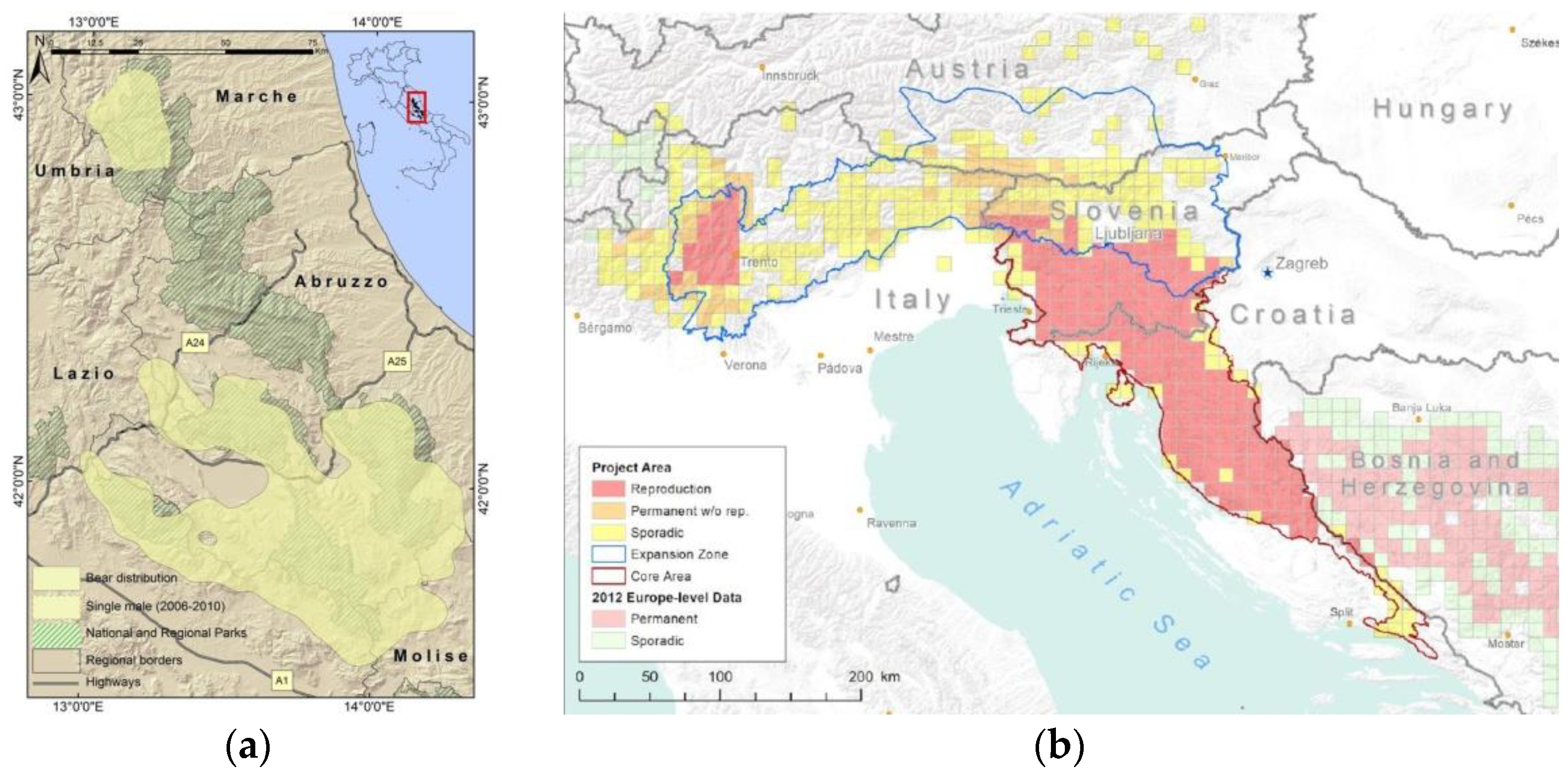 Genes 13 02164 g001 Genes 13 02164 g001