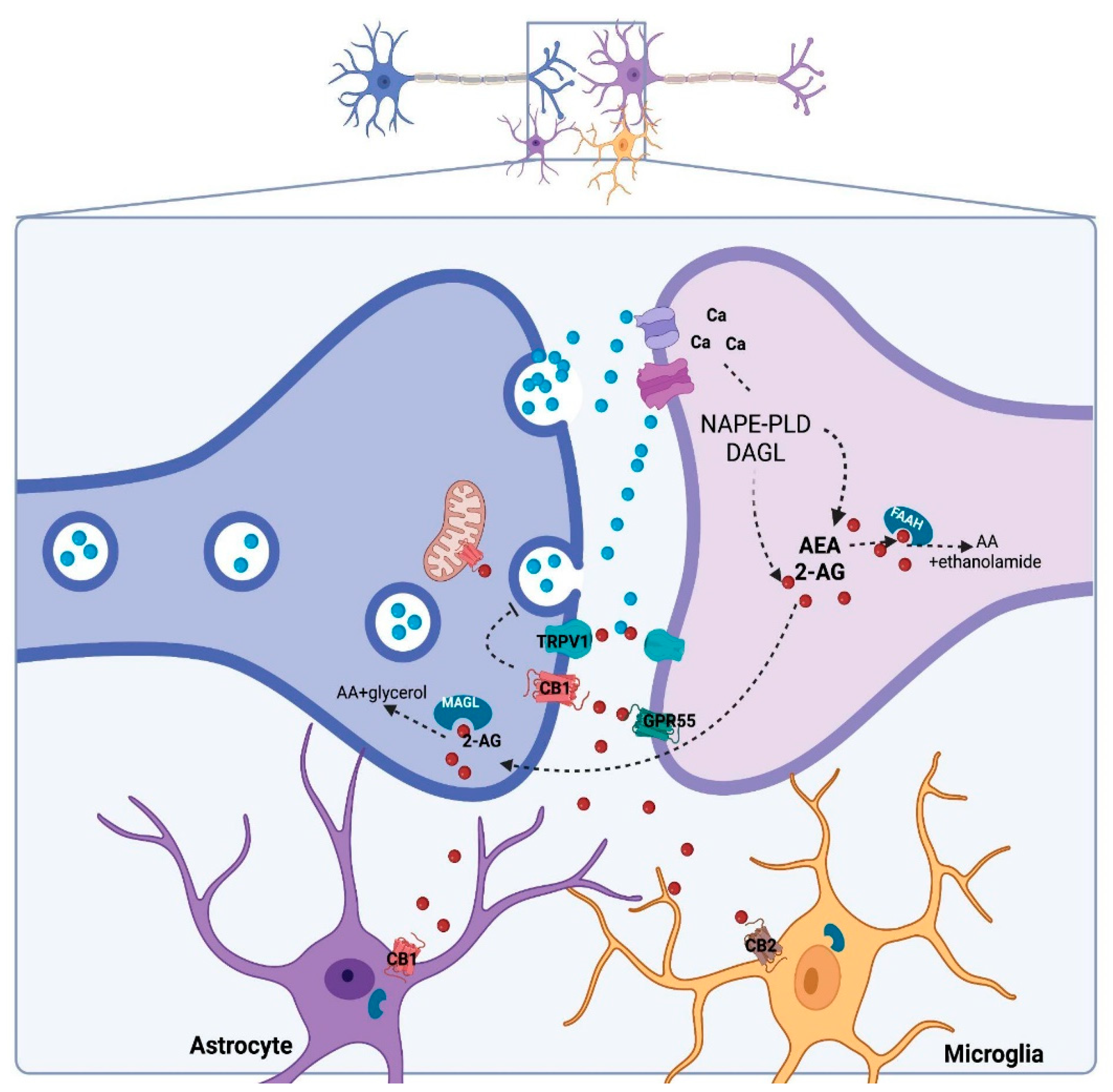 Genes 13 02165 g002 Genes 13 02165 g002
