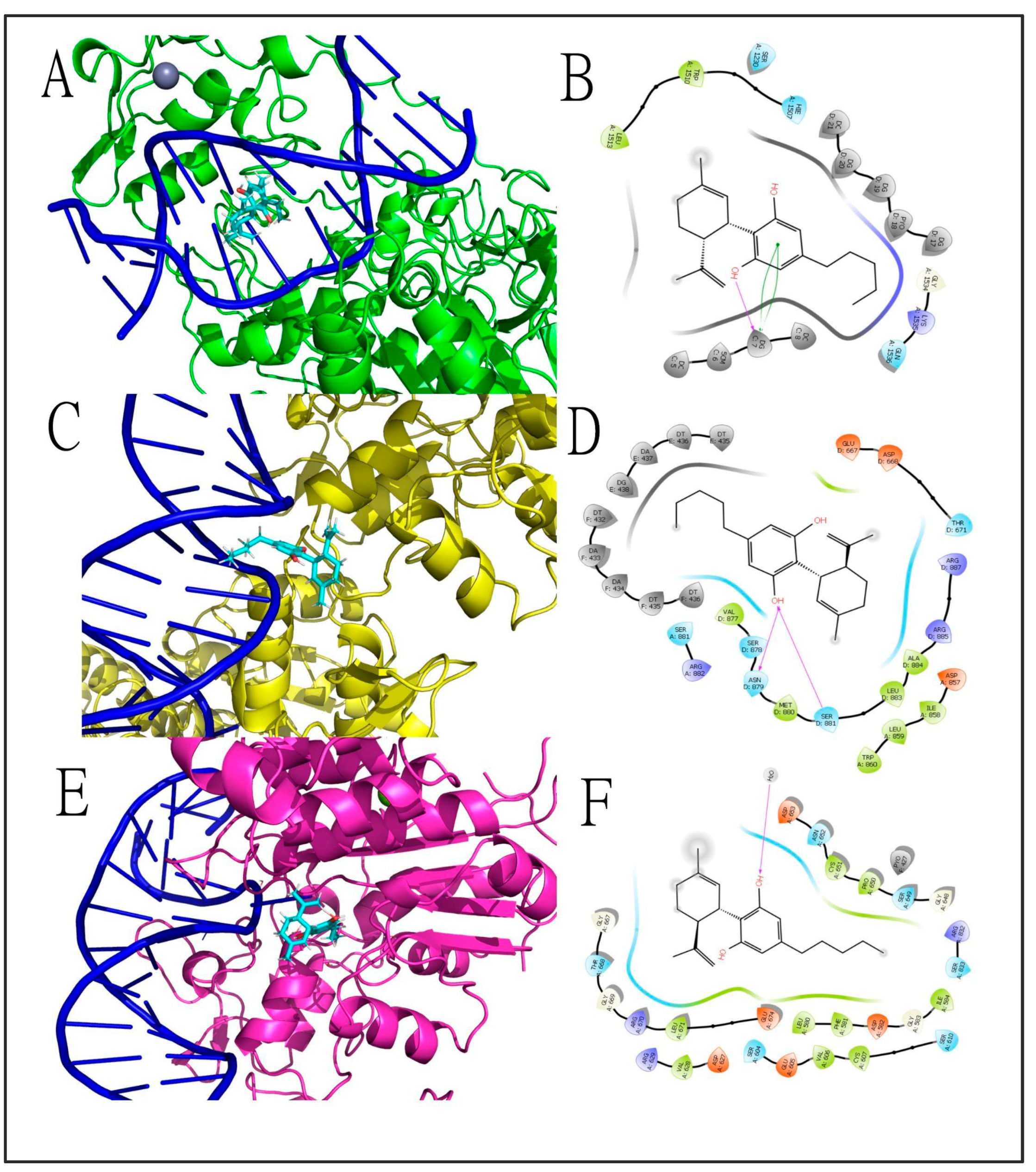 Genes 13 02165 g005 Genes 13 02165 g005