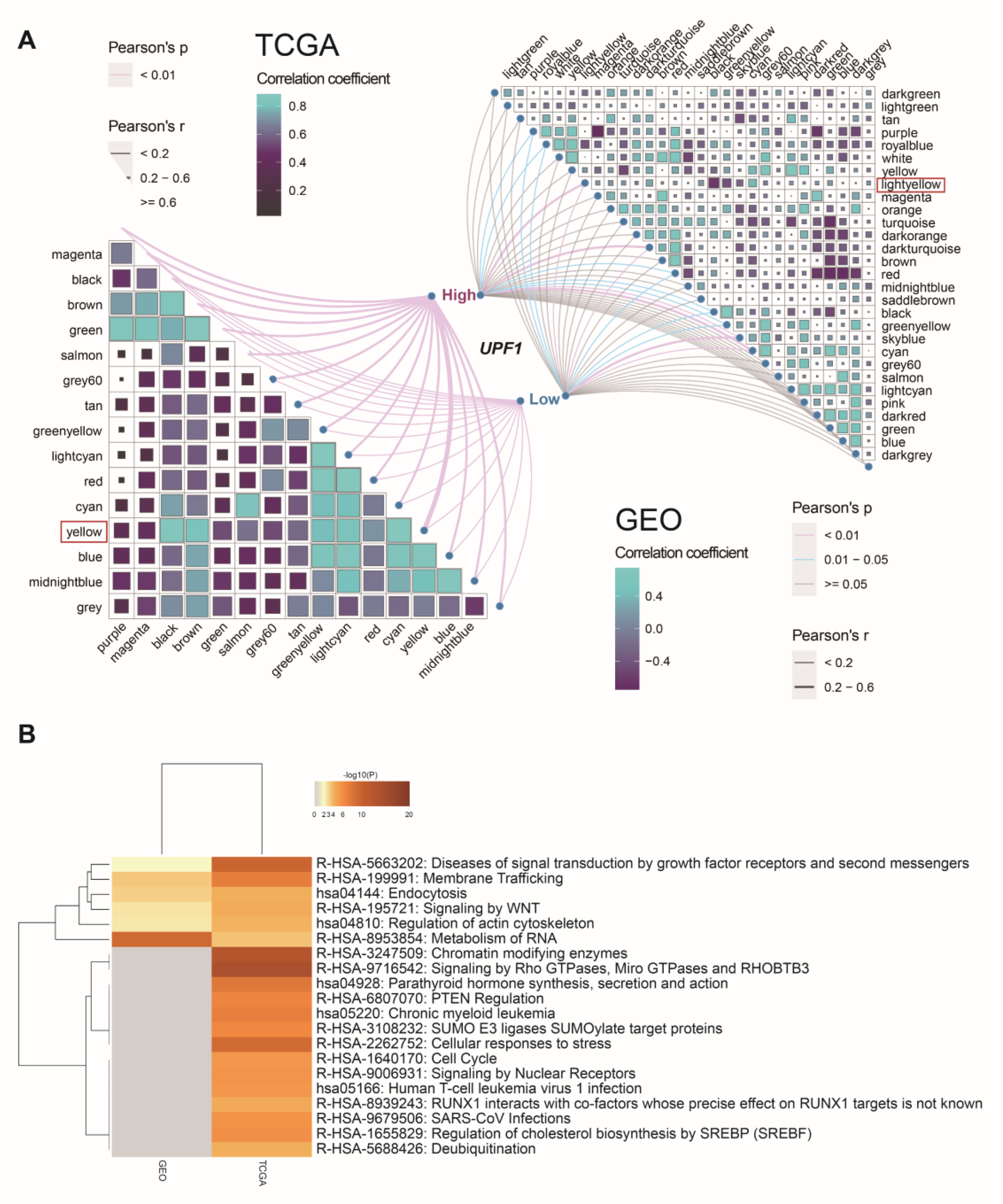 Genes 13 02166 g005
