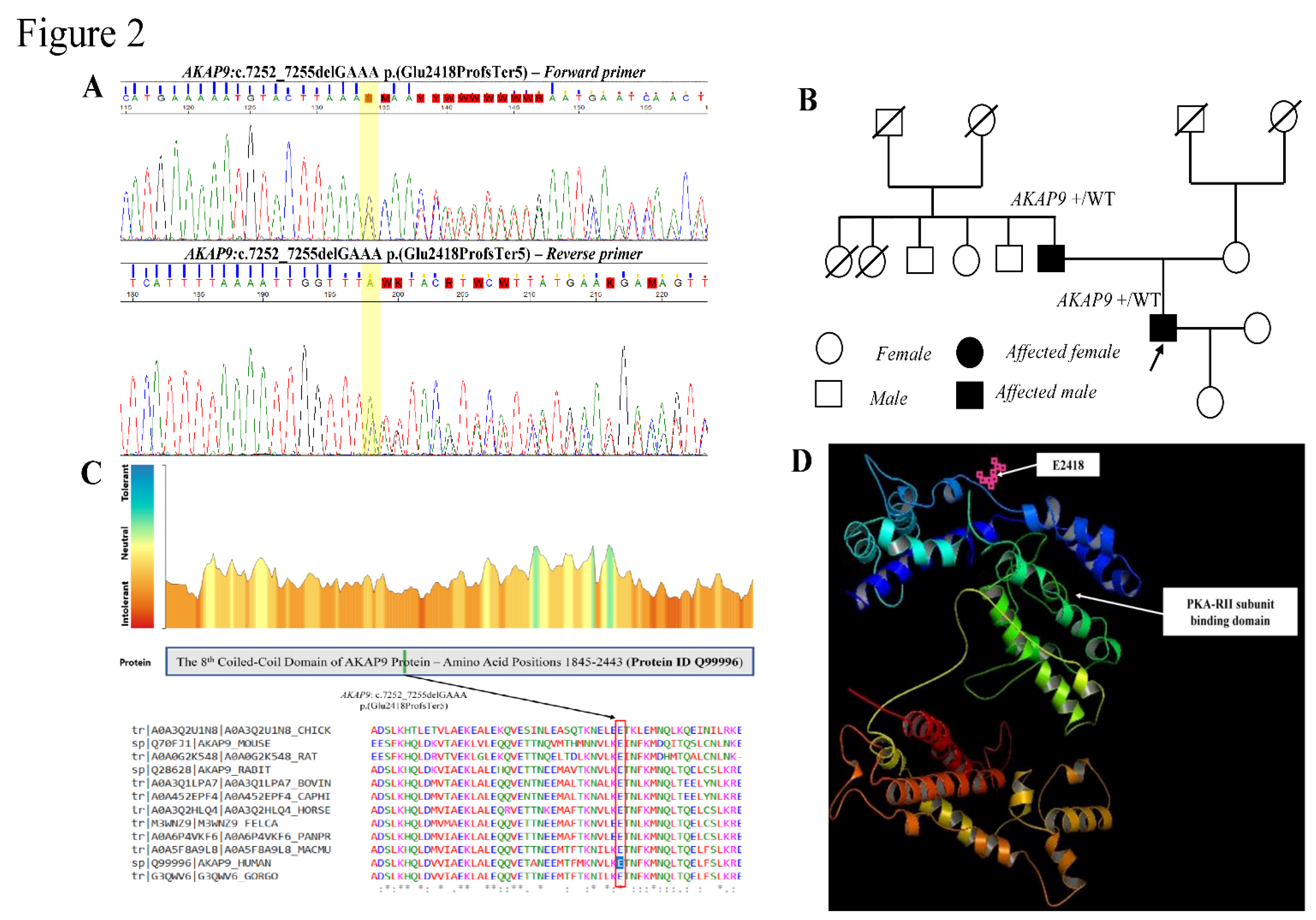 Genes 13 02167 g002 Genes 13 02167 g002