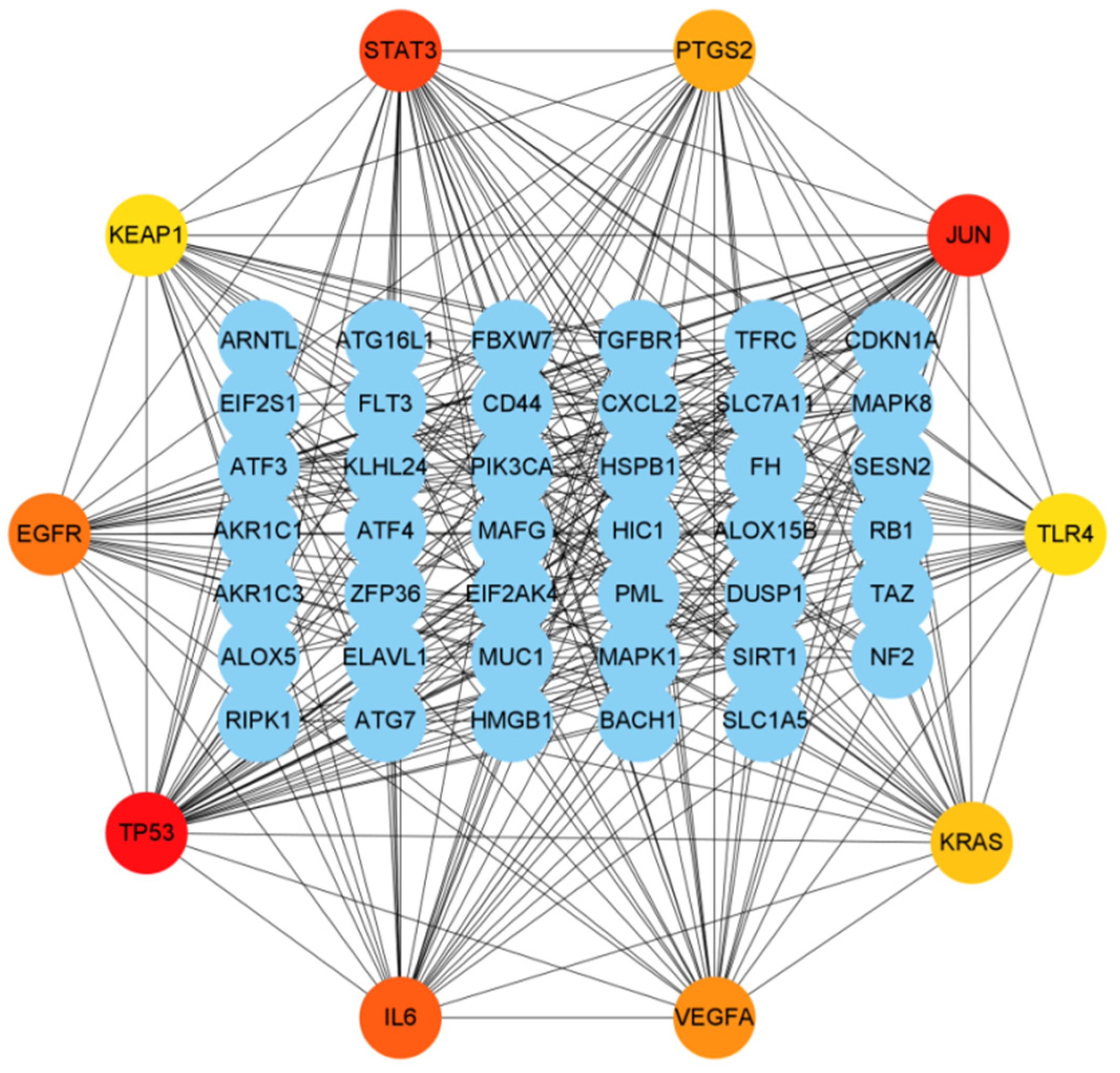 Genes 13 02168 g006 Genes 13 02168 g006