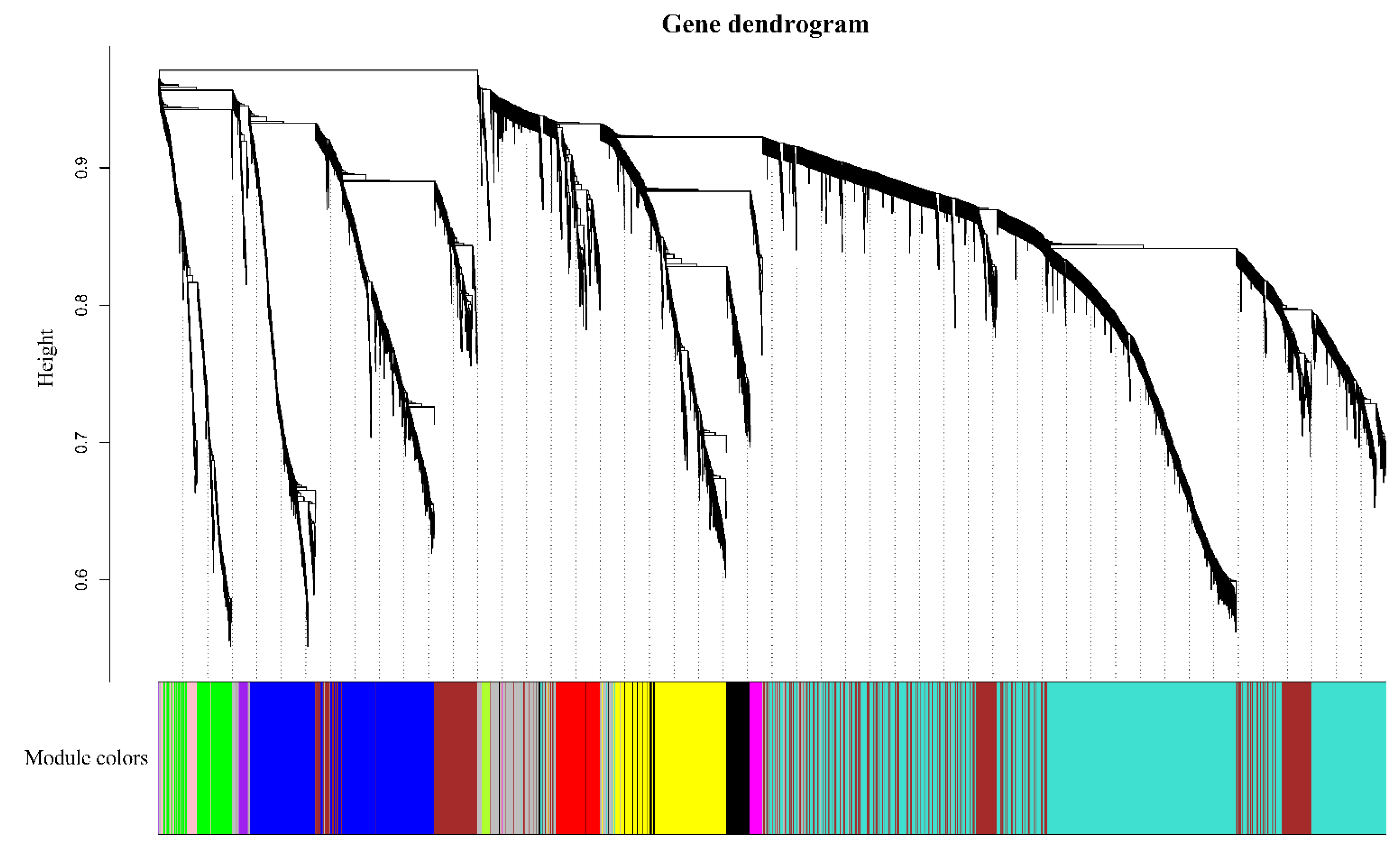 Genes 13 02170 g004 Genes 13 02170 g004