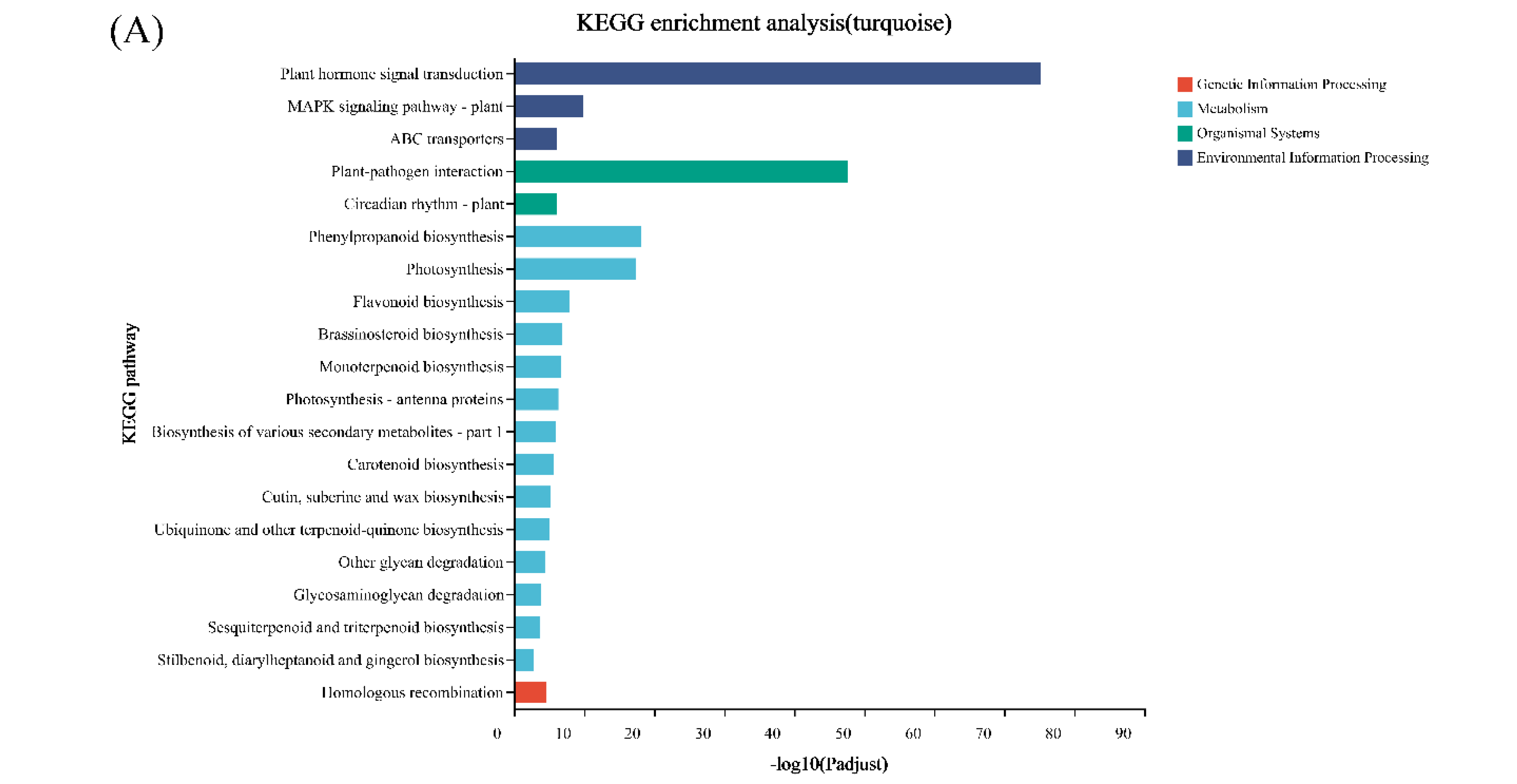 Genes 13 02170 g006a Genes 13 02170 g006a