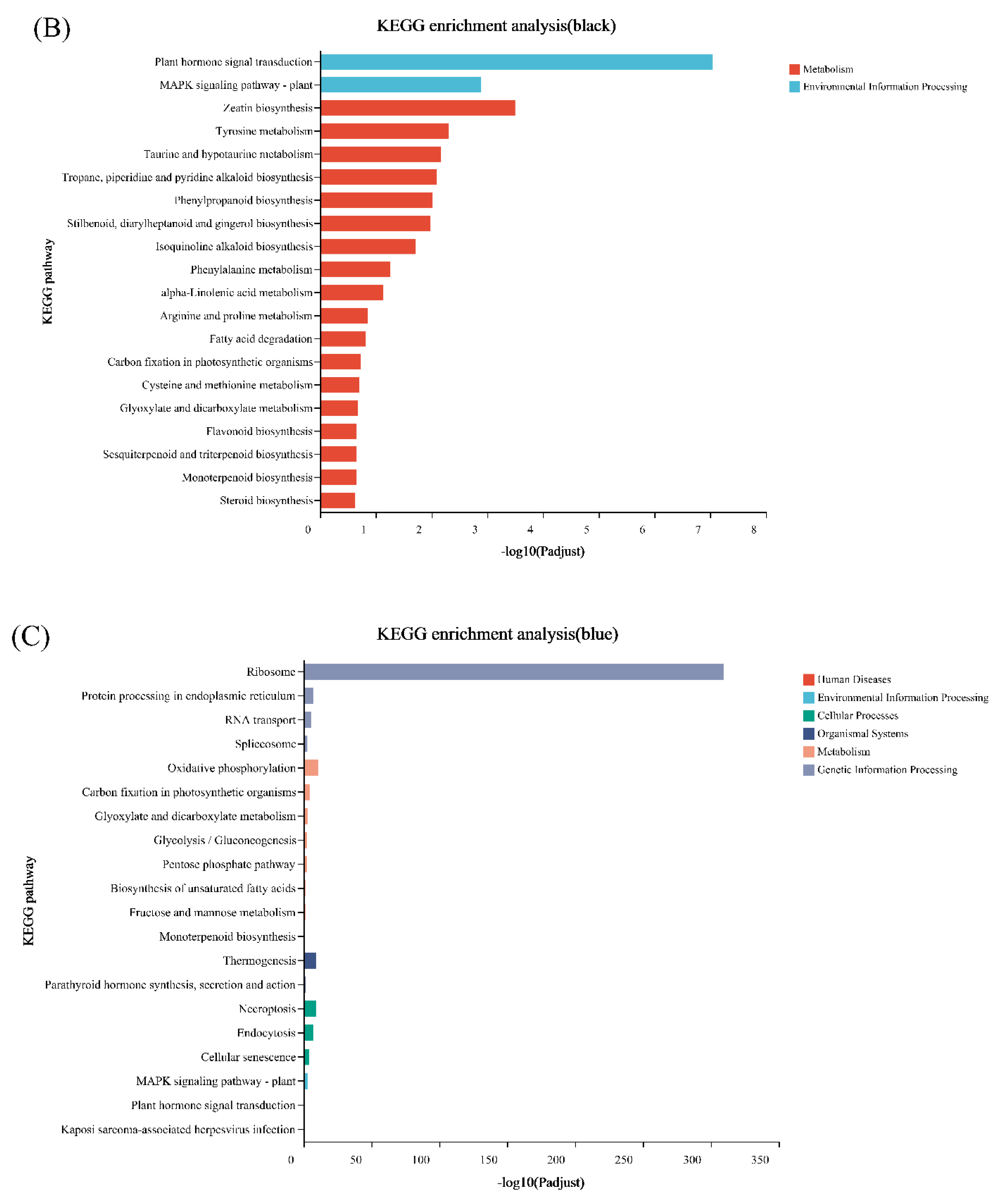 Genes 13 02170 g006b Genes 13 02170 g006b