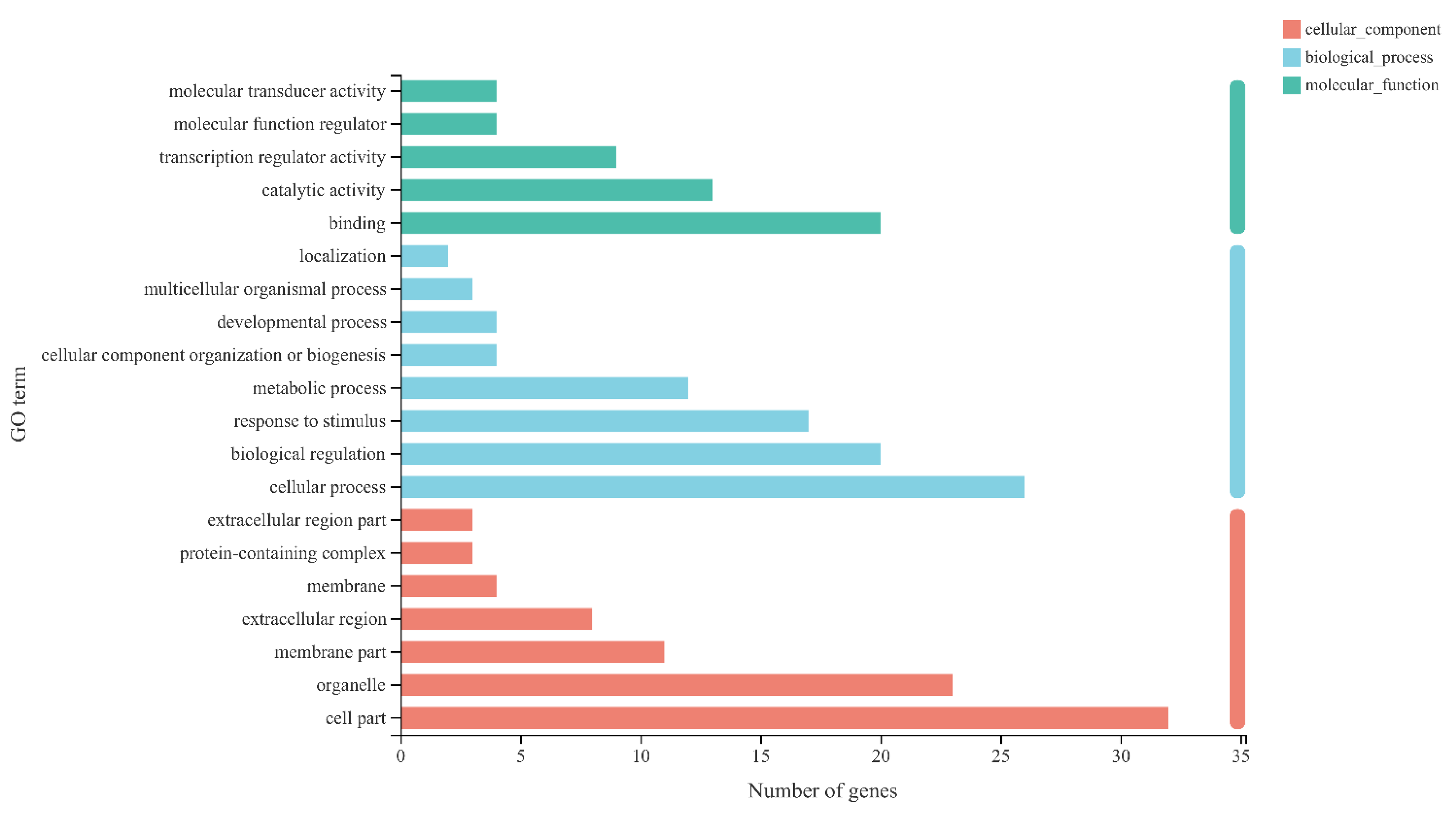 Genes 13 02170 g007 Genes 13 02170 g007