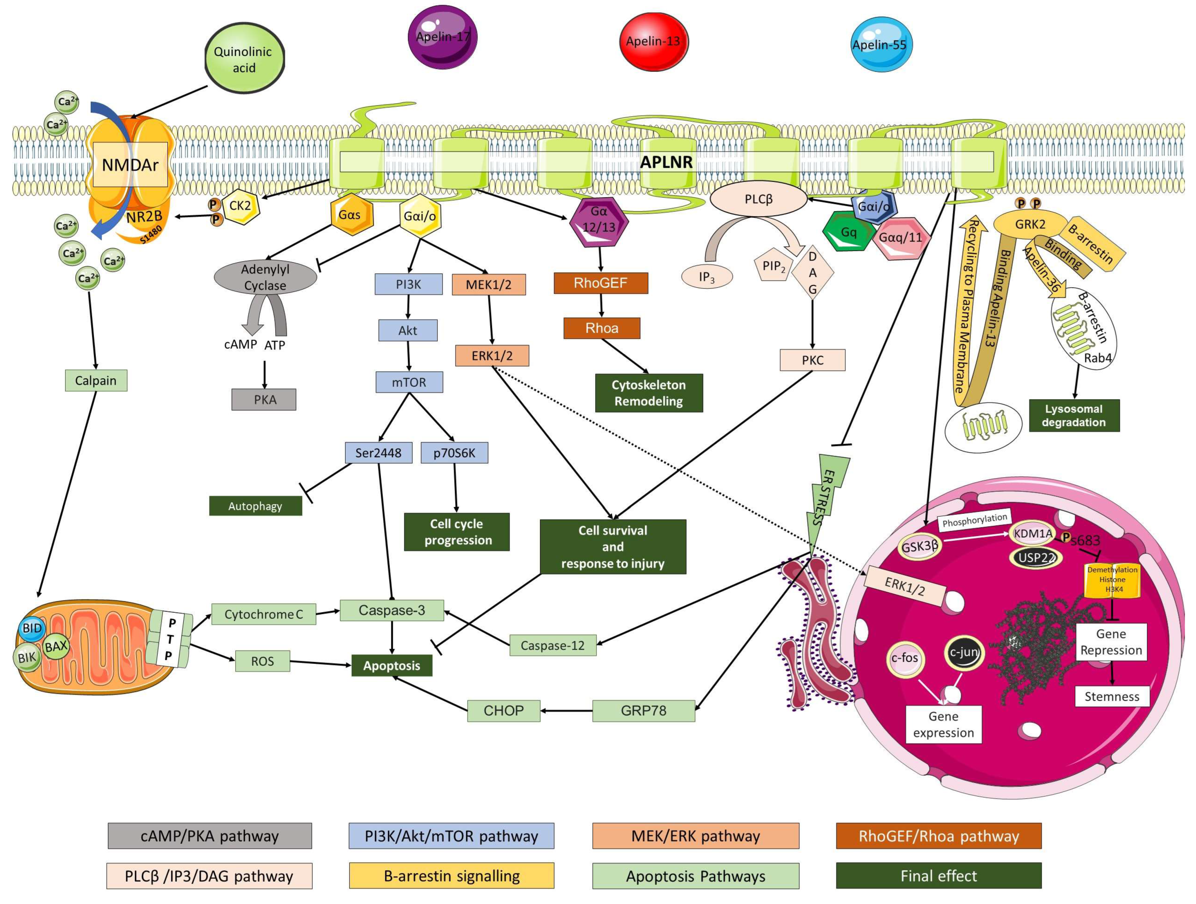 Genes 13 02172 g002 Genes 13 02172 g002