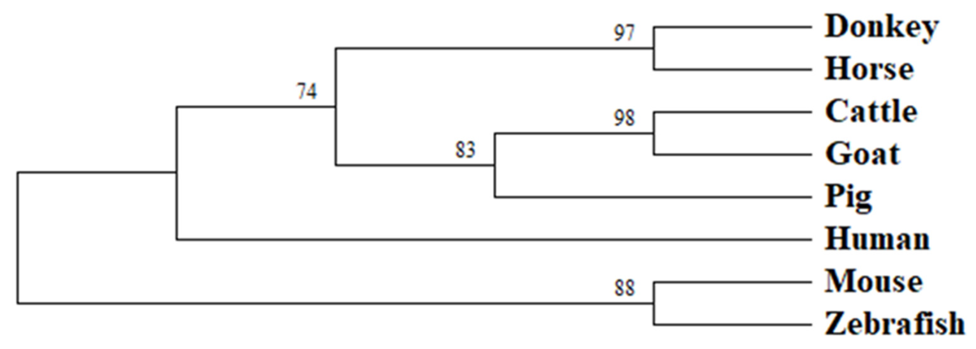 Genes 13 02175 g002 Genes 13 02175 g002
