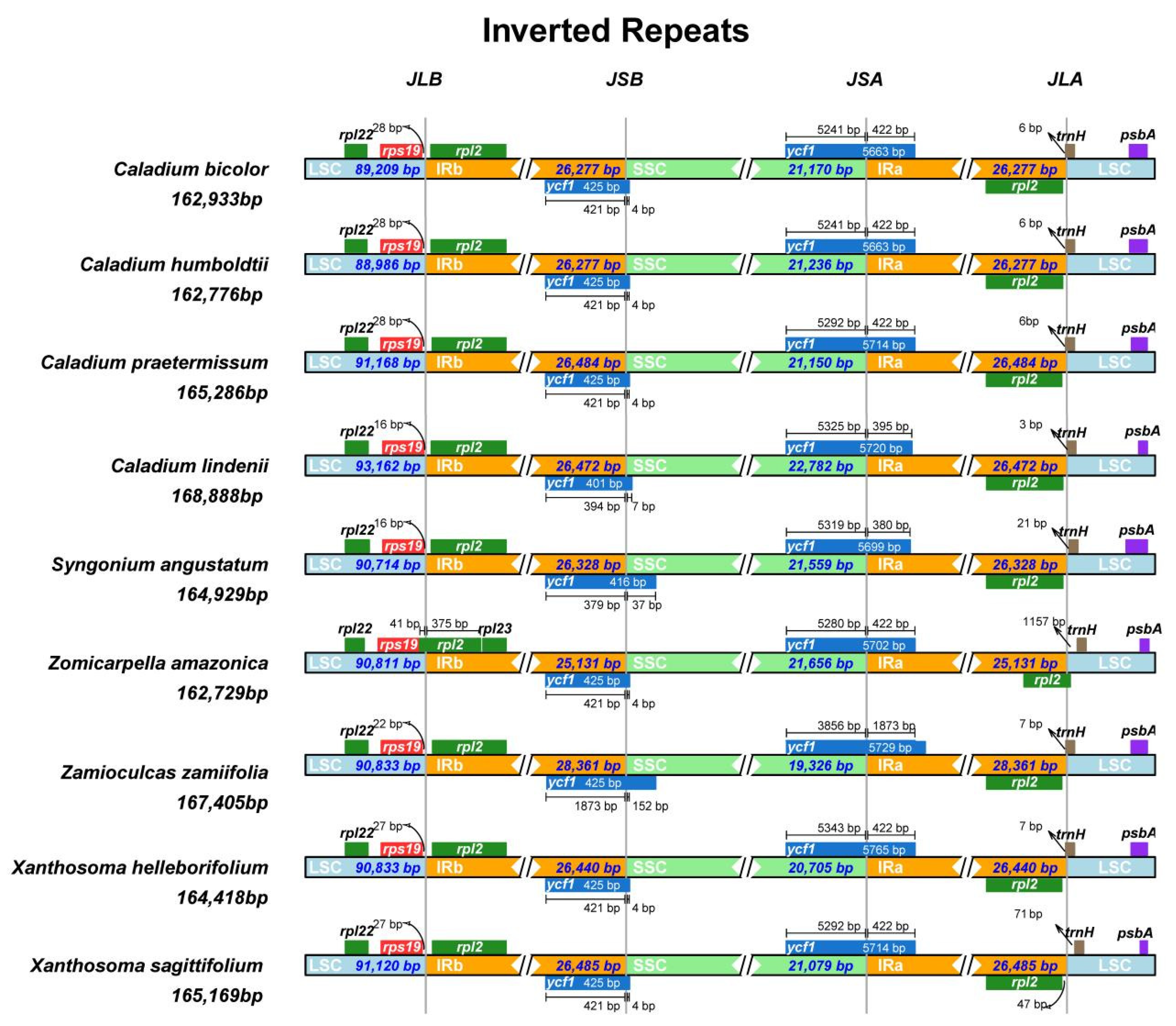 Genes 13 02180 g002 Genes 13 02180 g002