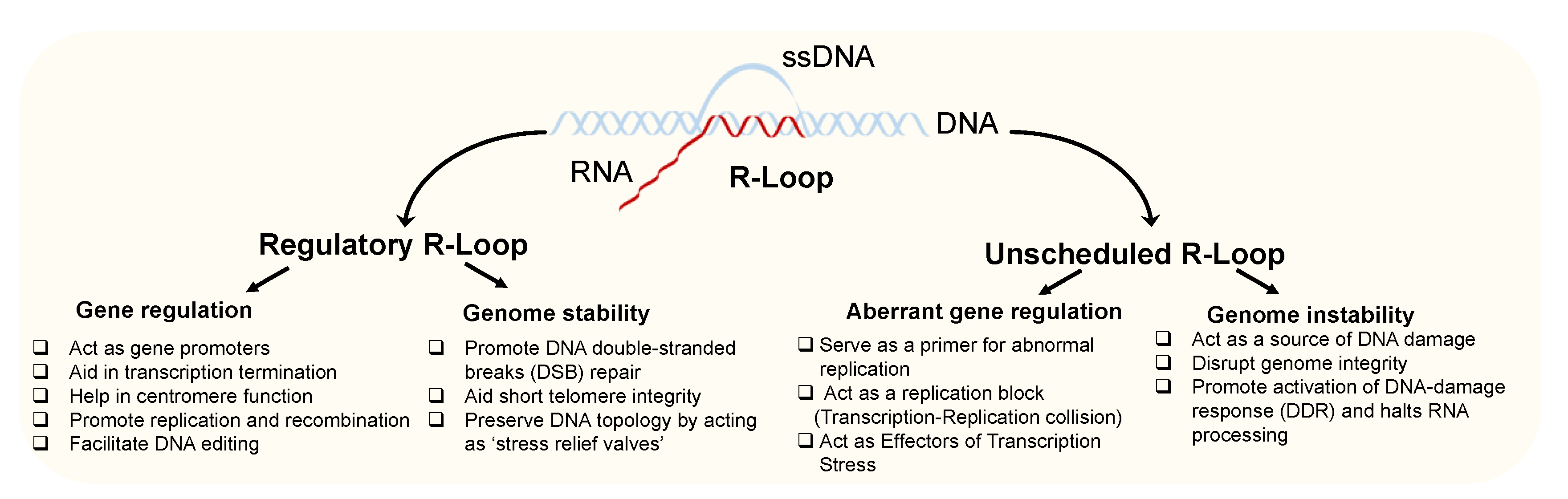 Genes 13 02181 g001 Genes 13 02181 g001