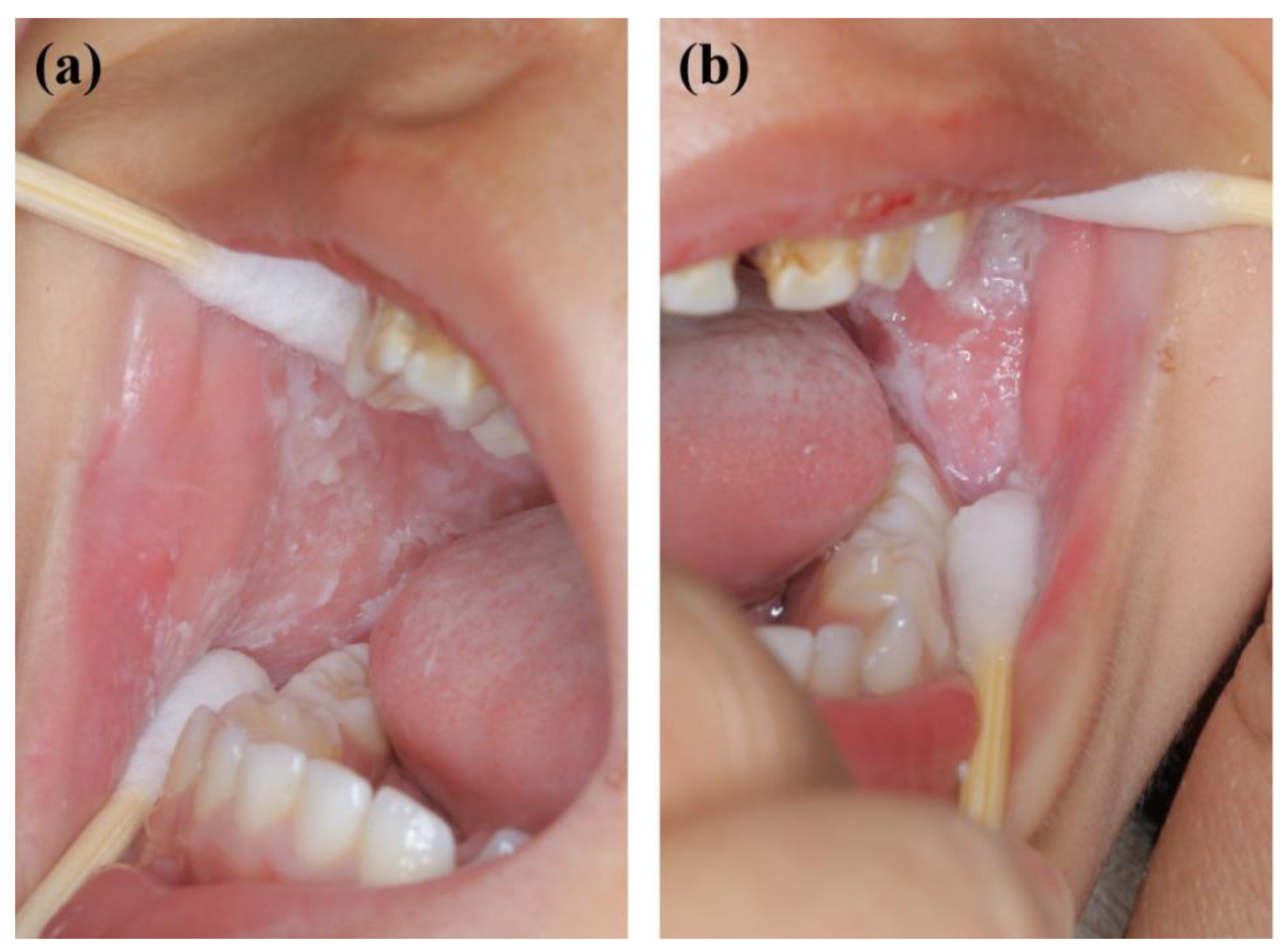 Genes 13 02184 g001 Genes 13 02184 g001