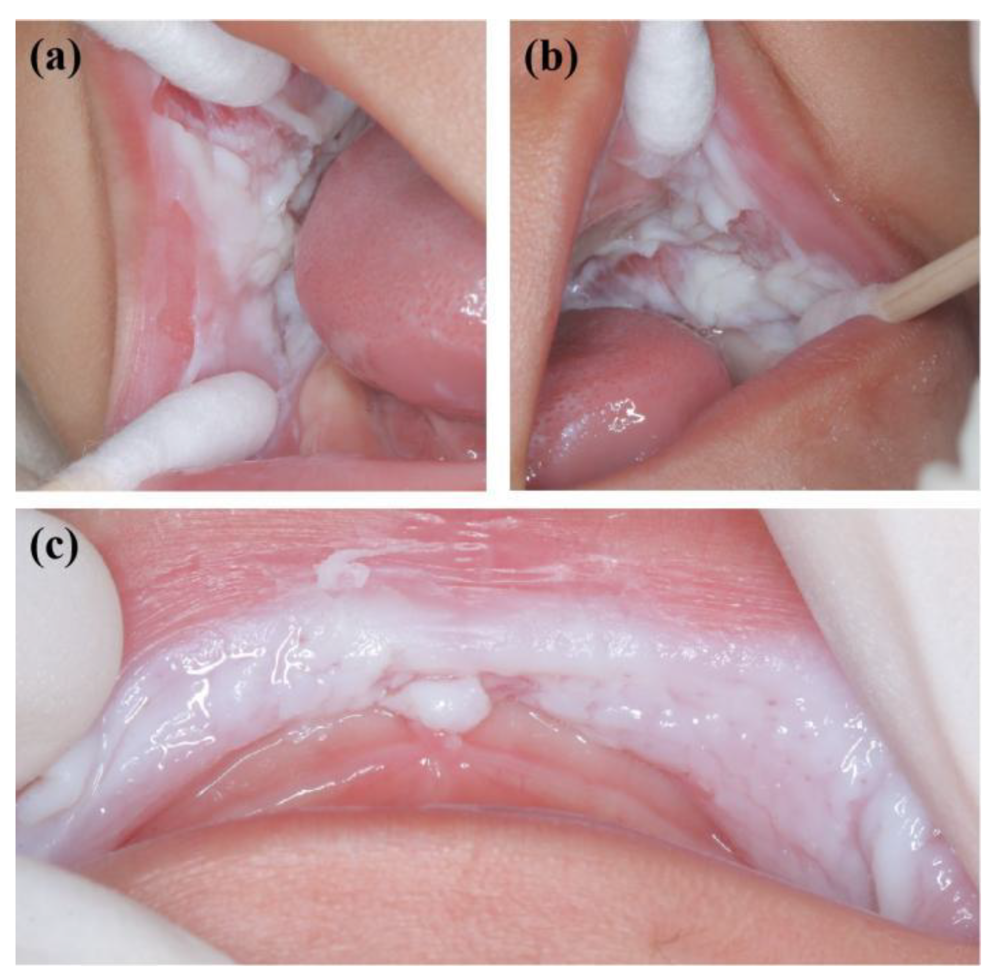 Genes 13 02184 g003 Genes 13 02184 g003