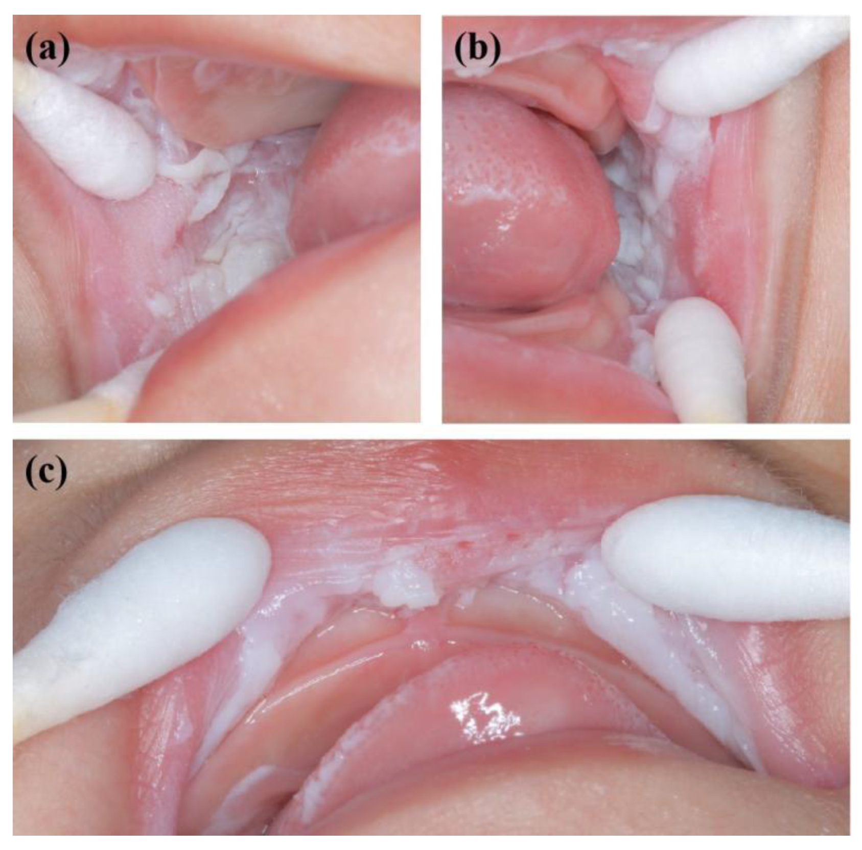 Genes 13 02184 g004 Genes 13 02184 g004