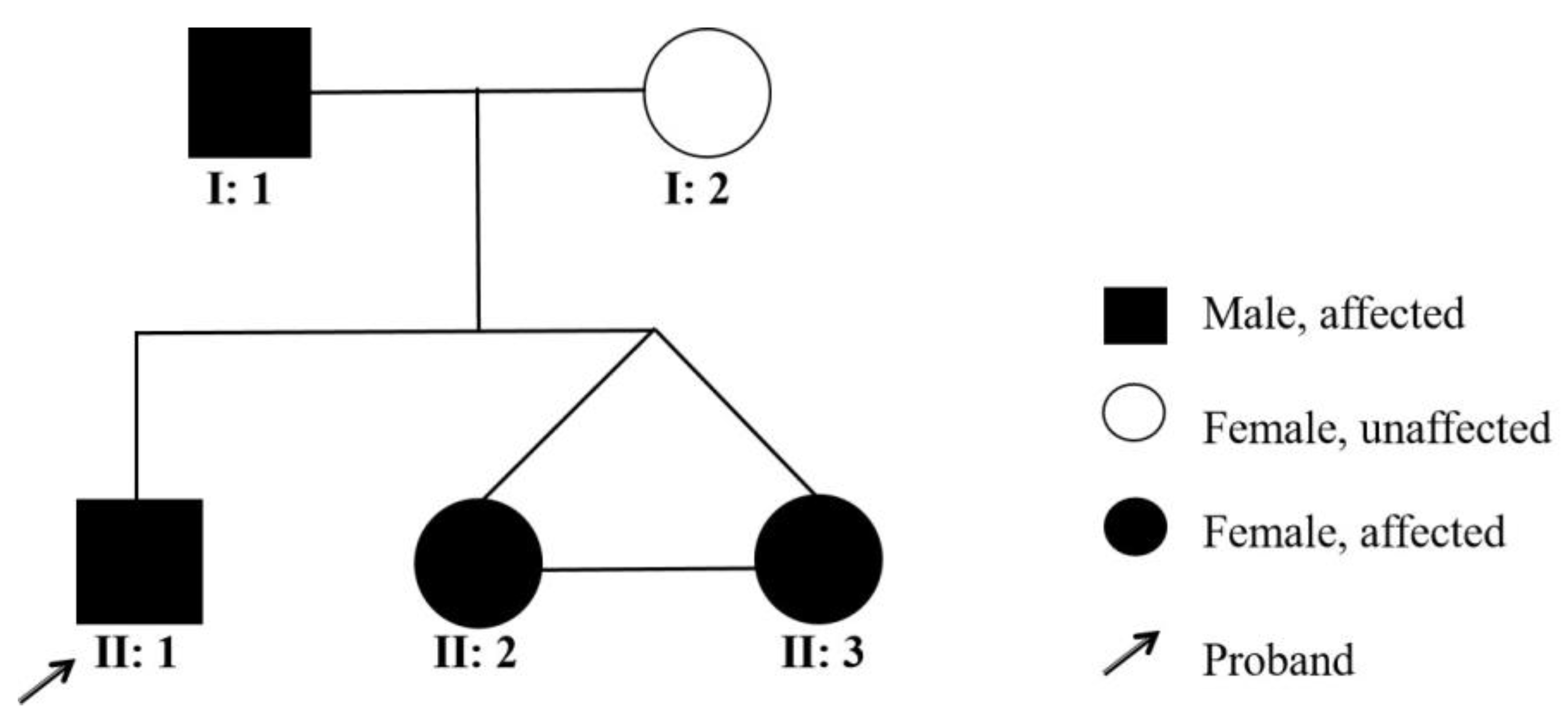 Genes 13 02184 g005 Genes 13 02184 g005
