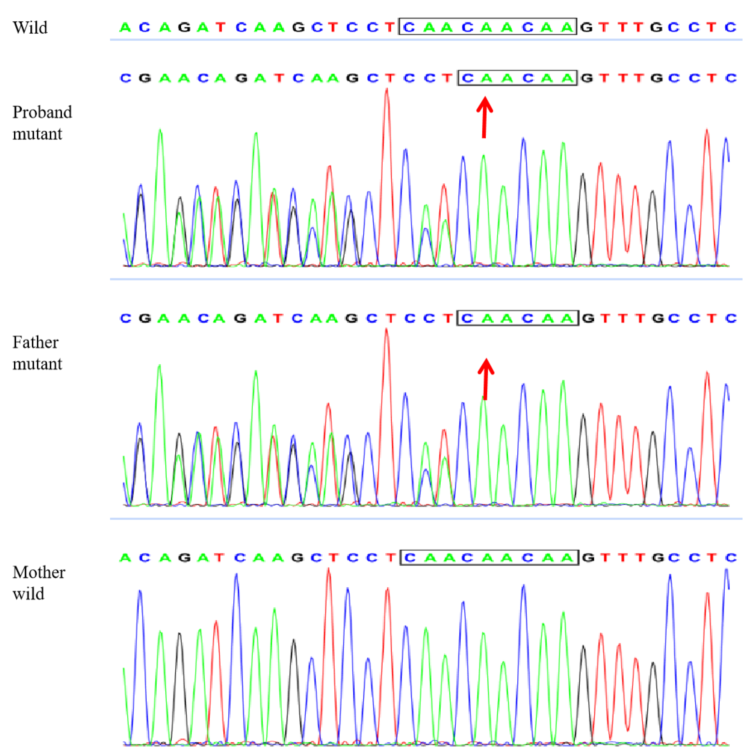 Genes 13 02184 g007 Genes 13 02184 g007