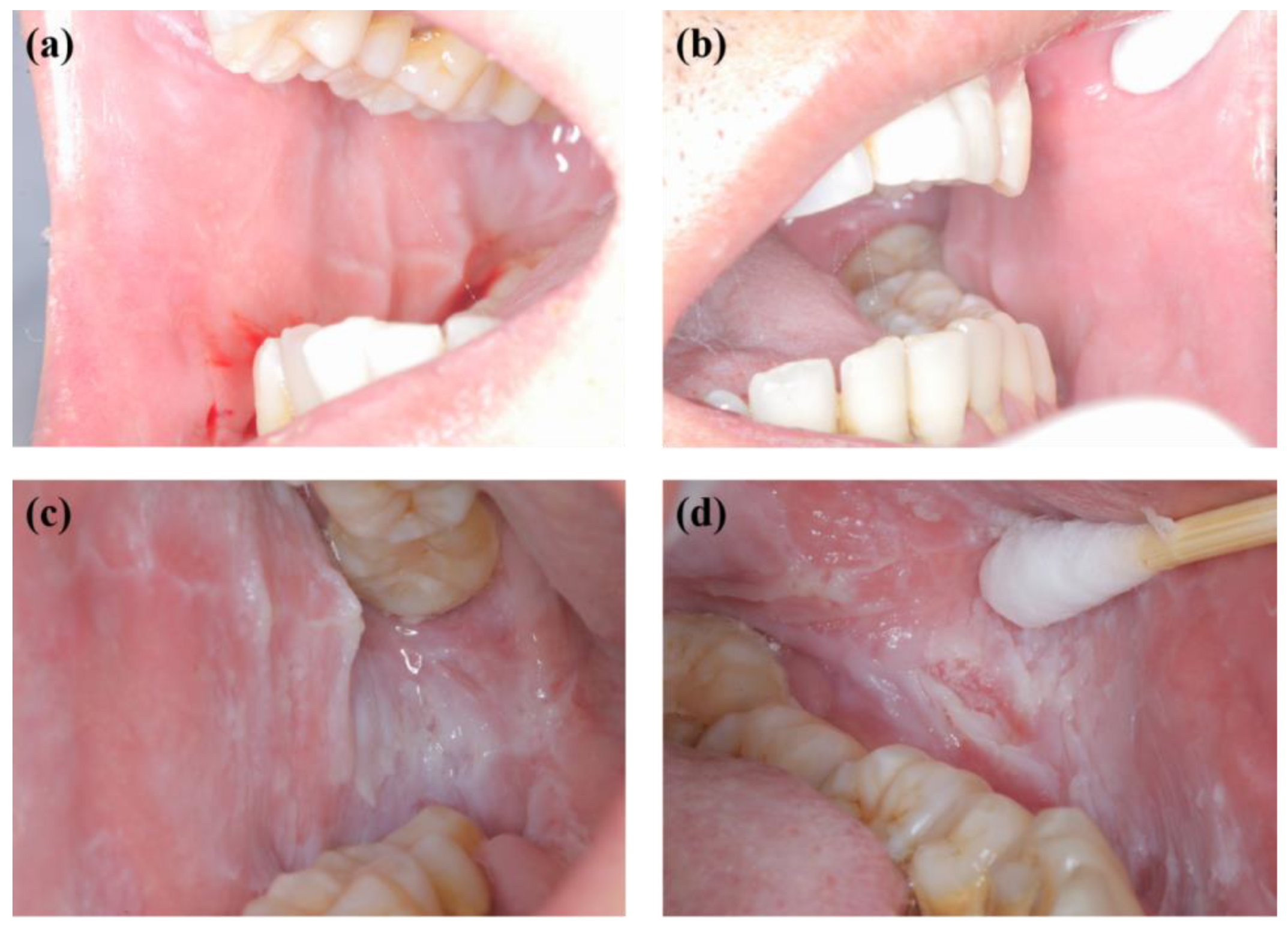 Genes 13 02184 g008 Genes 13 02184 g008