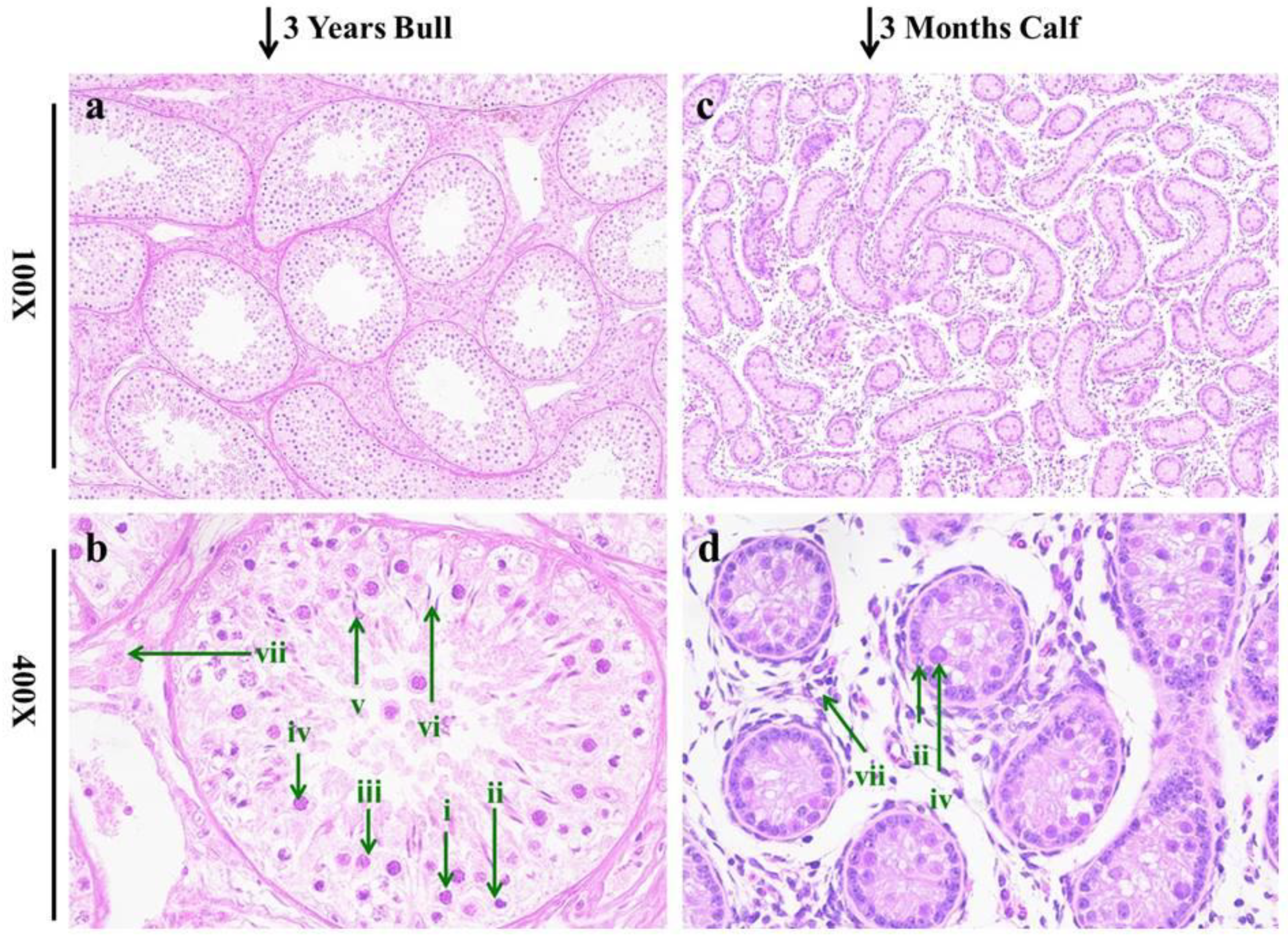 Genes 13 02185 g001 Genes 13 02185 g001