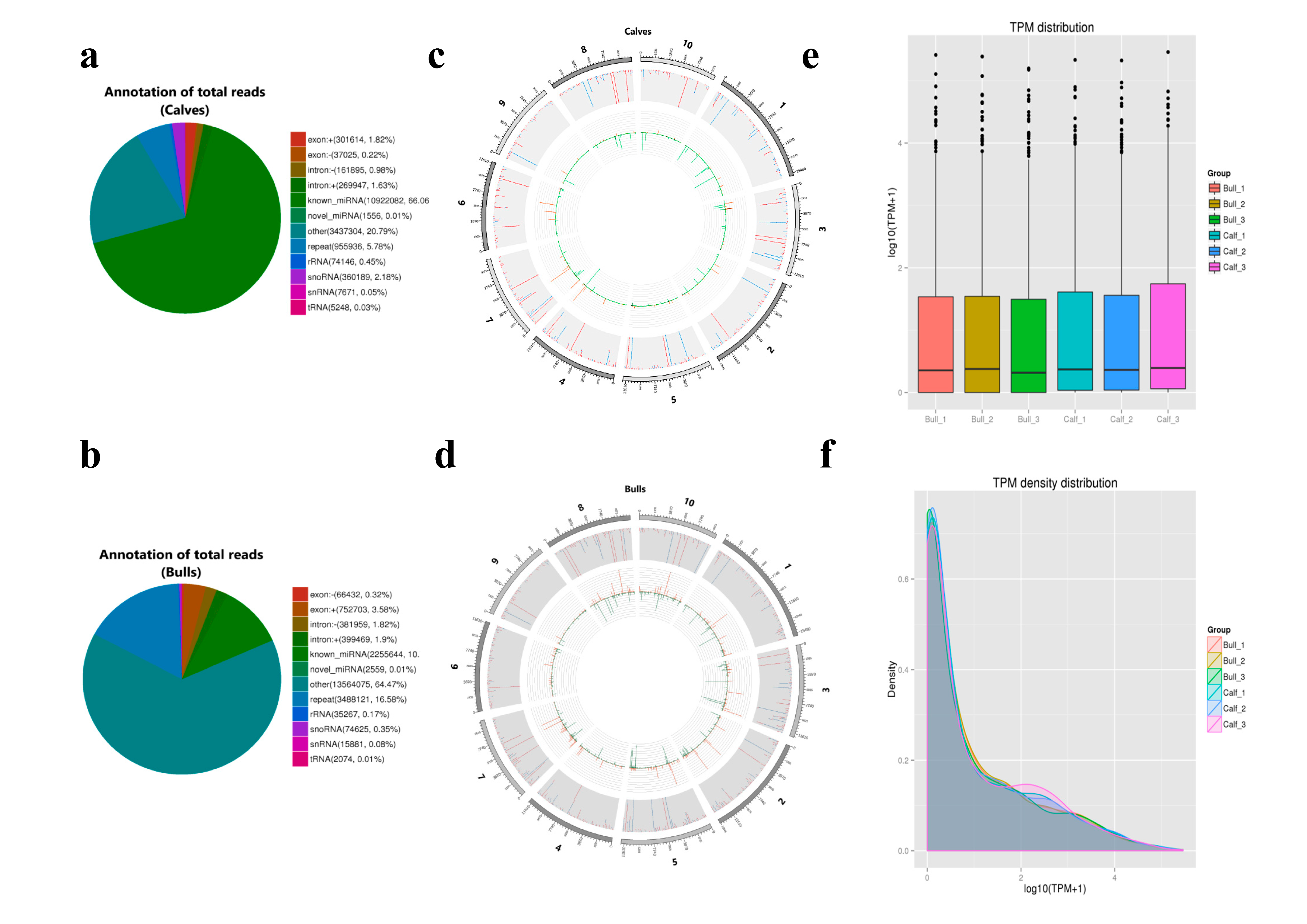 Genes 13 02185 g005 Genes 13 02185 g005