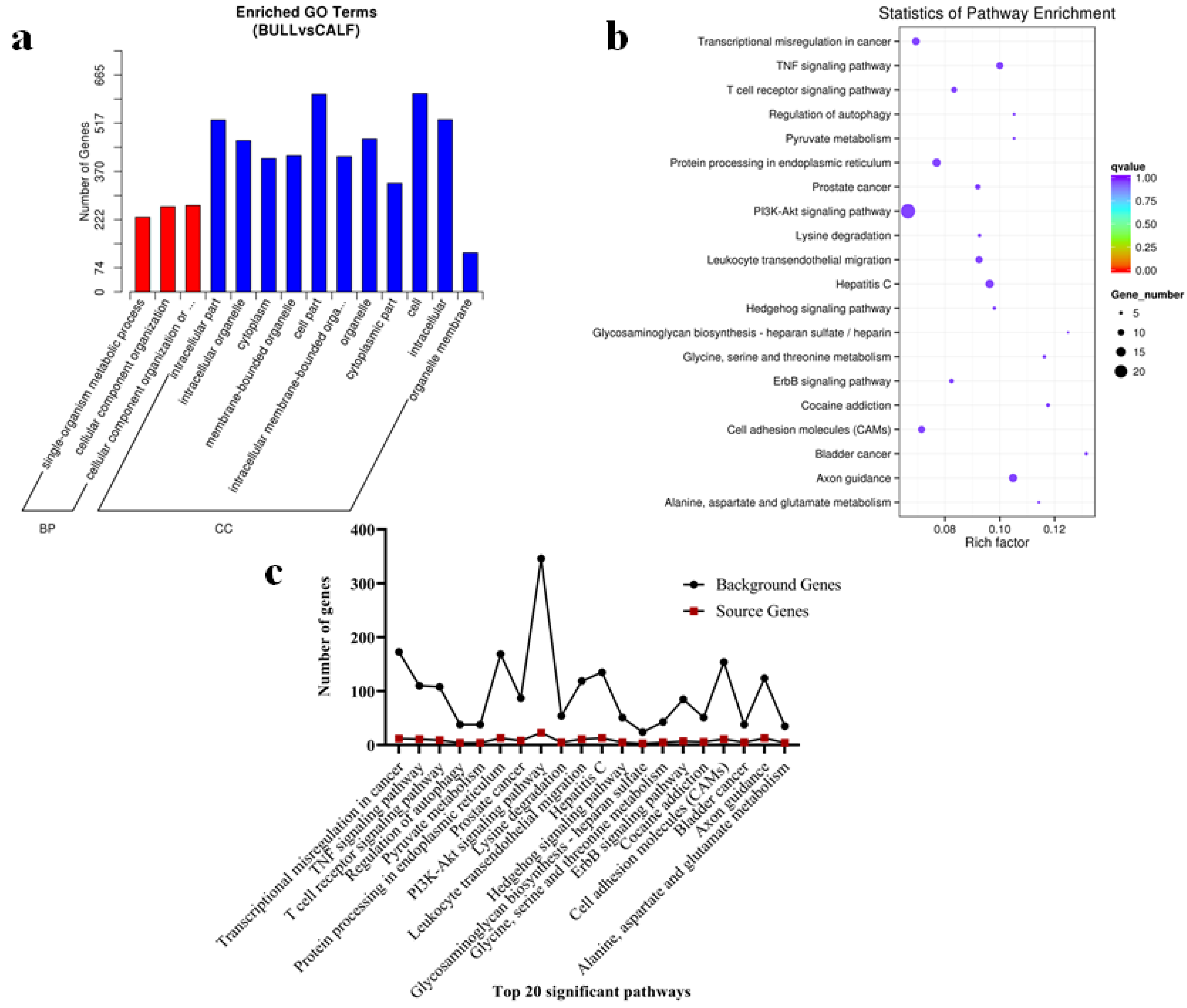 Genes 13 02185 g007 Genes 13 02185 g007