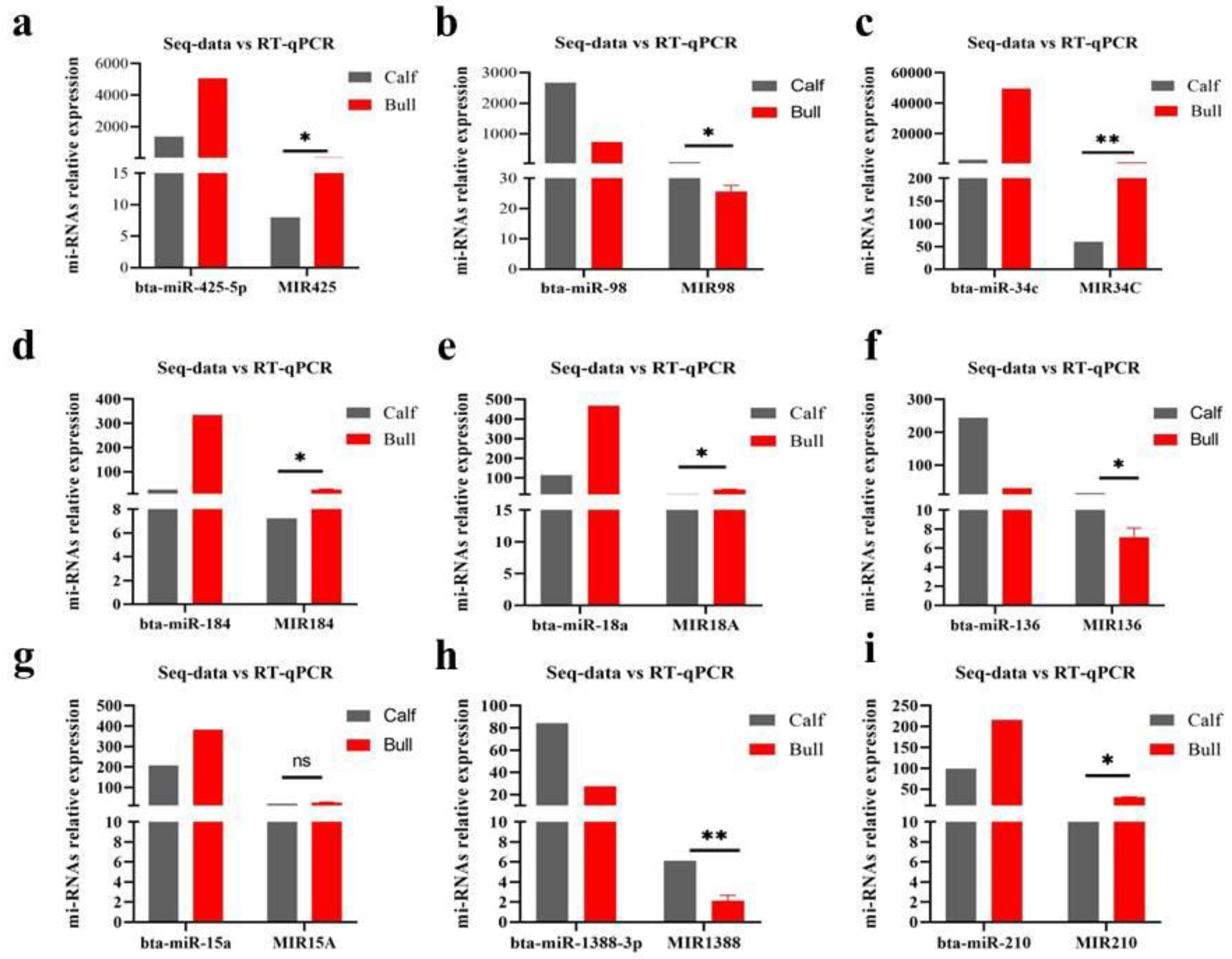 Genes 13 02185 g008 Genes 13 02185 g008