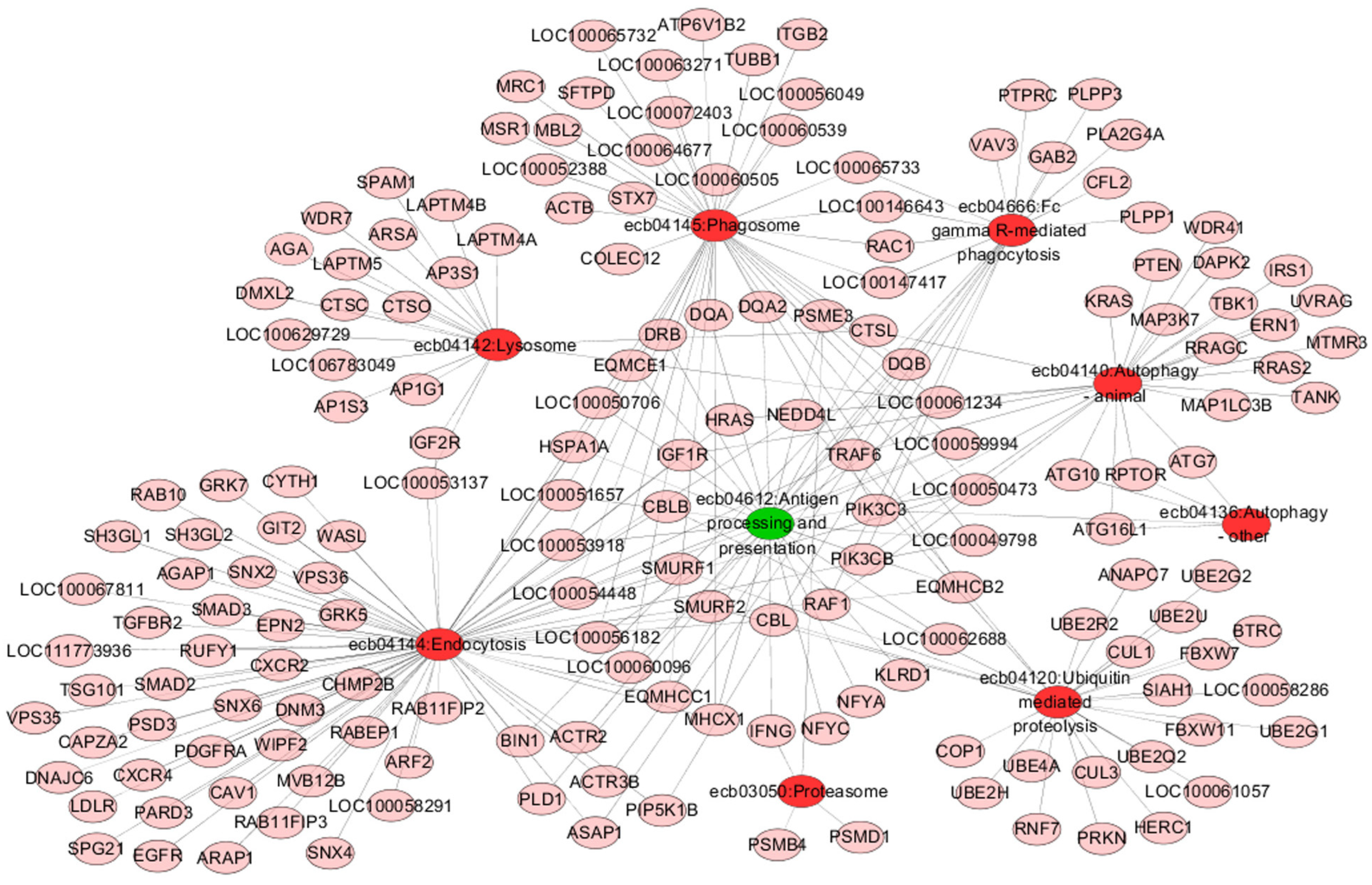 Genes 13 02188 g003 Genes 13 02188 g003