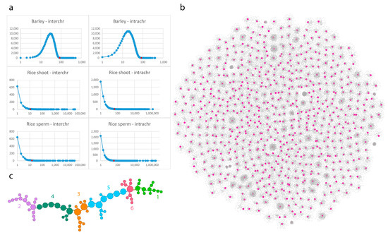A Multigraph-Based Representation of Hi-C Data