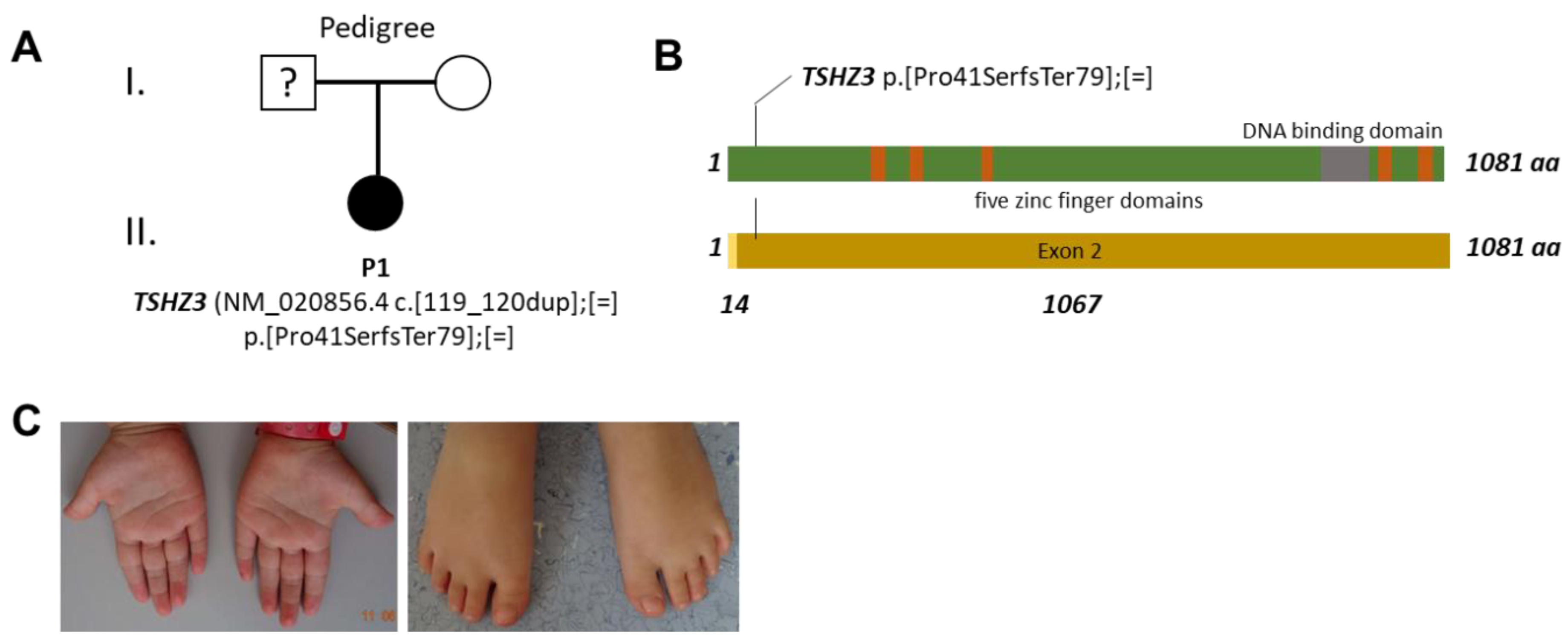 Genes 13 02191 g001 Genes 13 02191 g001