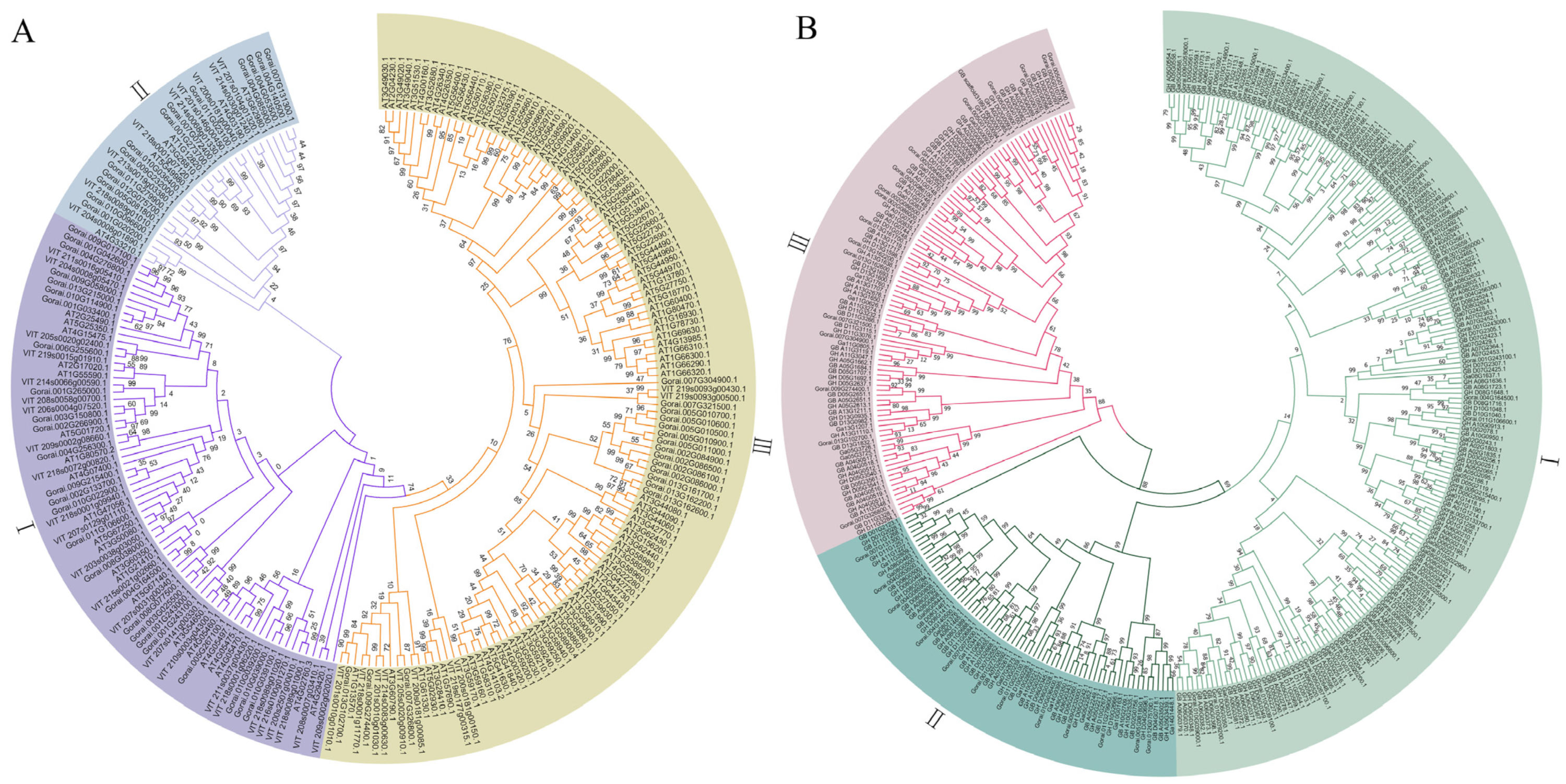 Genes 13 02194 g003 Genes 13 02194 g003