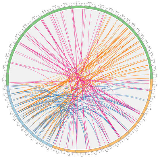 Identification, Classification and Characterization Analysis