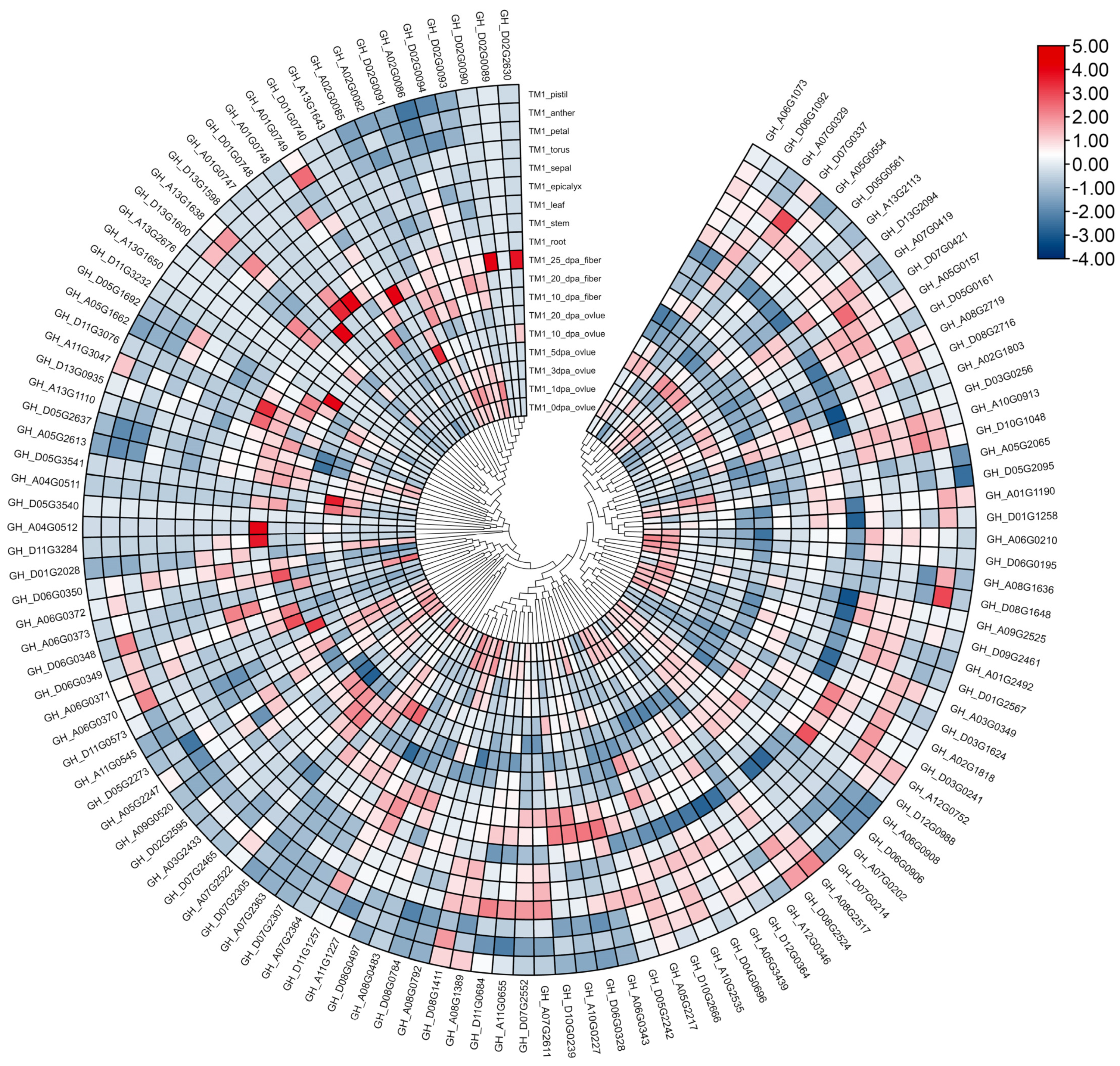 Genes 13 02194 g007 Genes 13 02194 g007