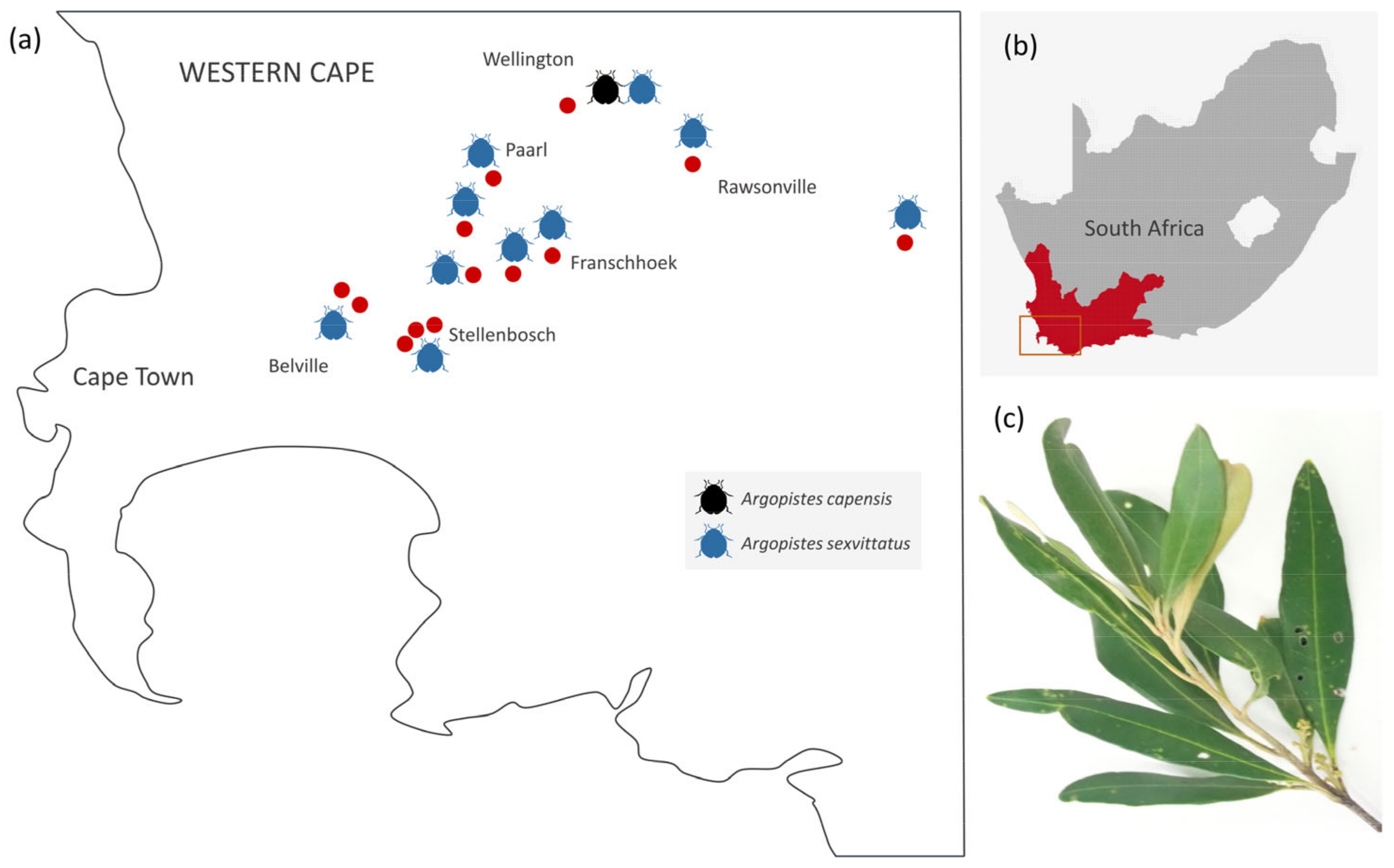 Genes 13 02195 g002 Genes 13 02195 g002